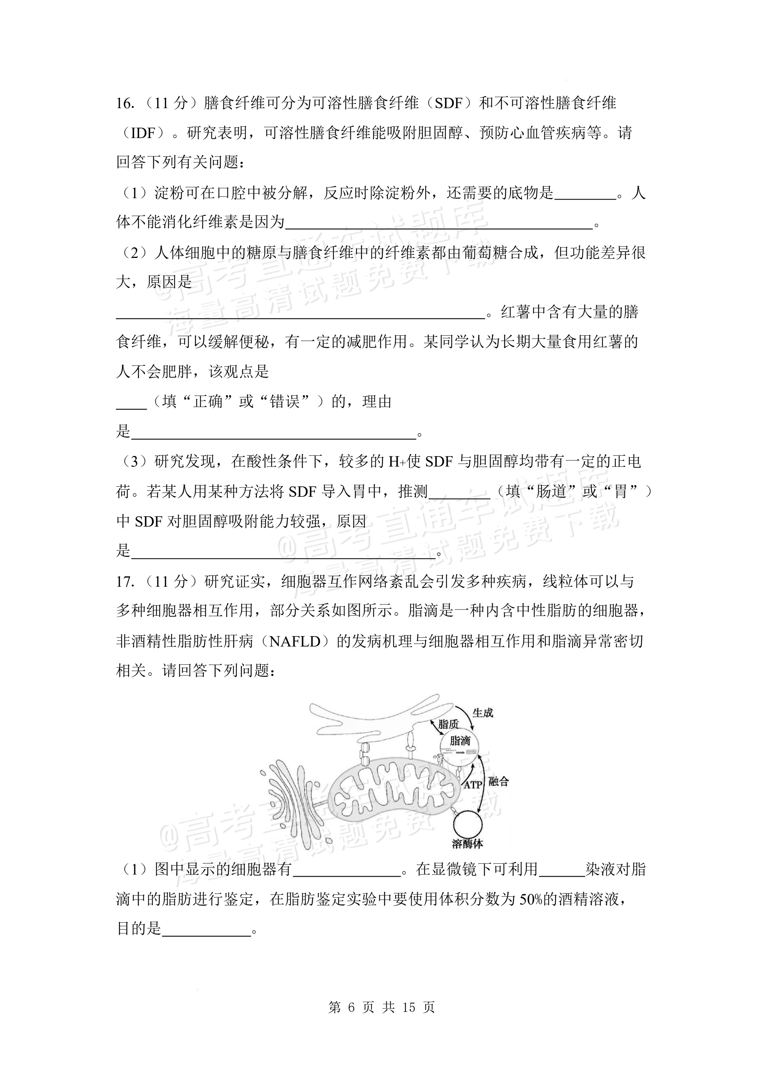 2027安徽阜阳市临泉田家炳实验中学高三上9月阶段检测生物试题及参考答案 第6页