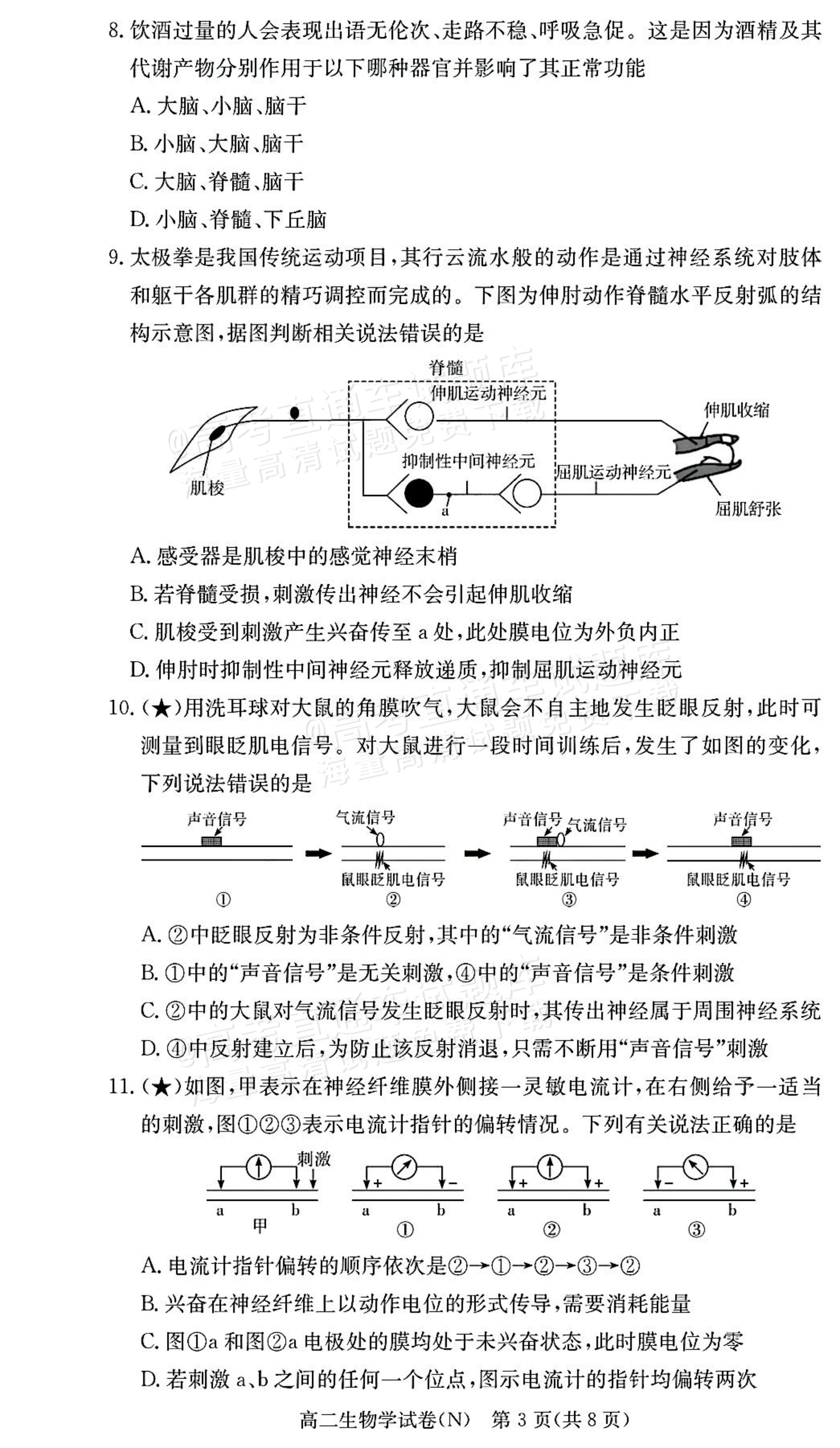 2027湖南省长沙市长郡联考高二上10月练习（N）生物试题及参考答案 第3页