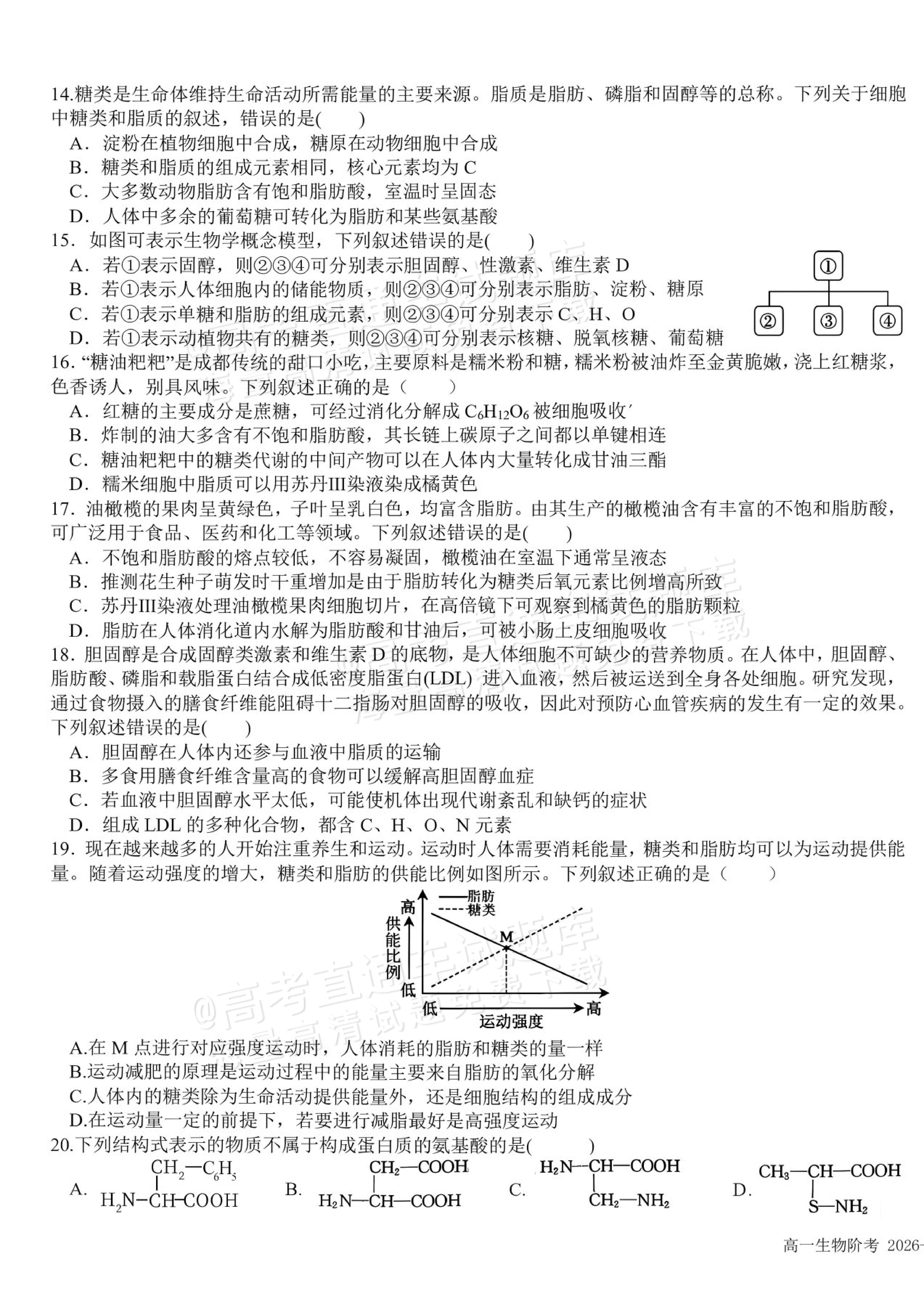 2027四川成都树德中学高一10月月考生物试题及参考答案 第3页
