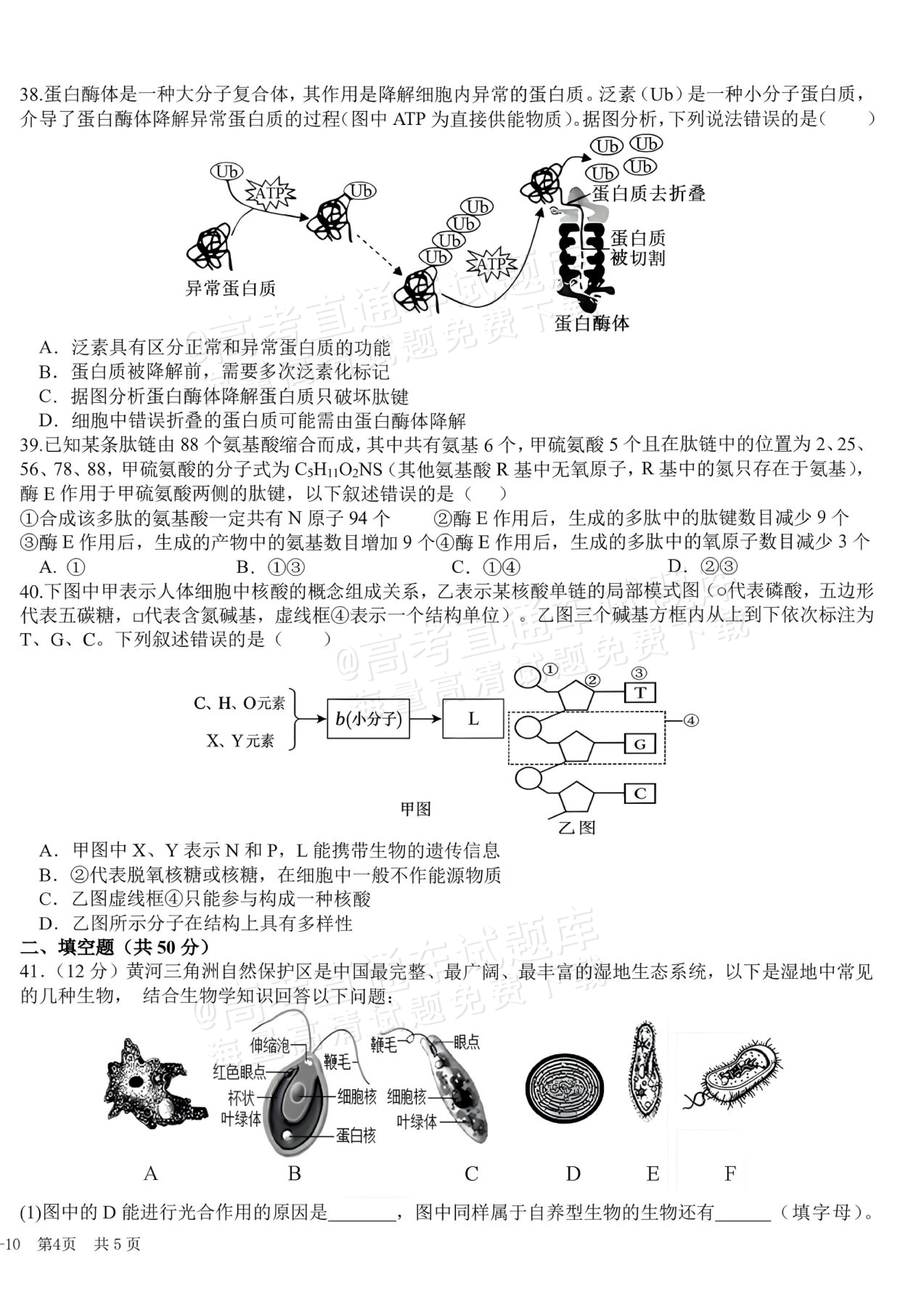 2027四川成都树德中学高一10月月考生物试题及参考答案 第8页