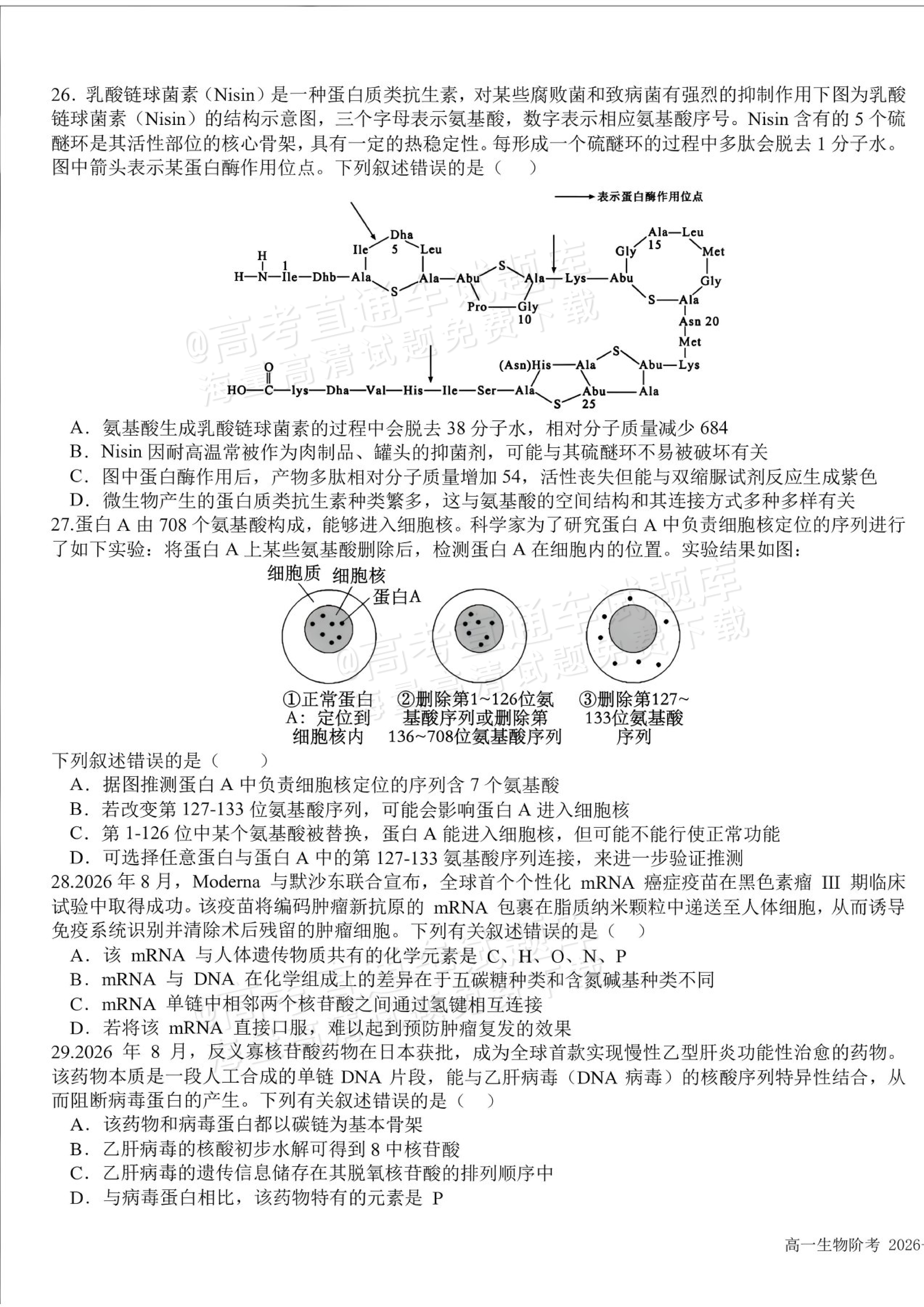 2027四川成都树德中学高一10月月考生物试题及参考答案 第5页