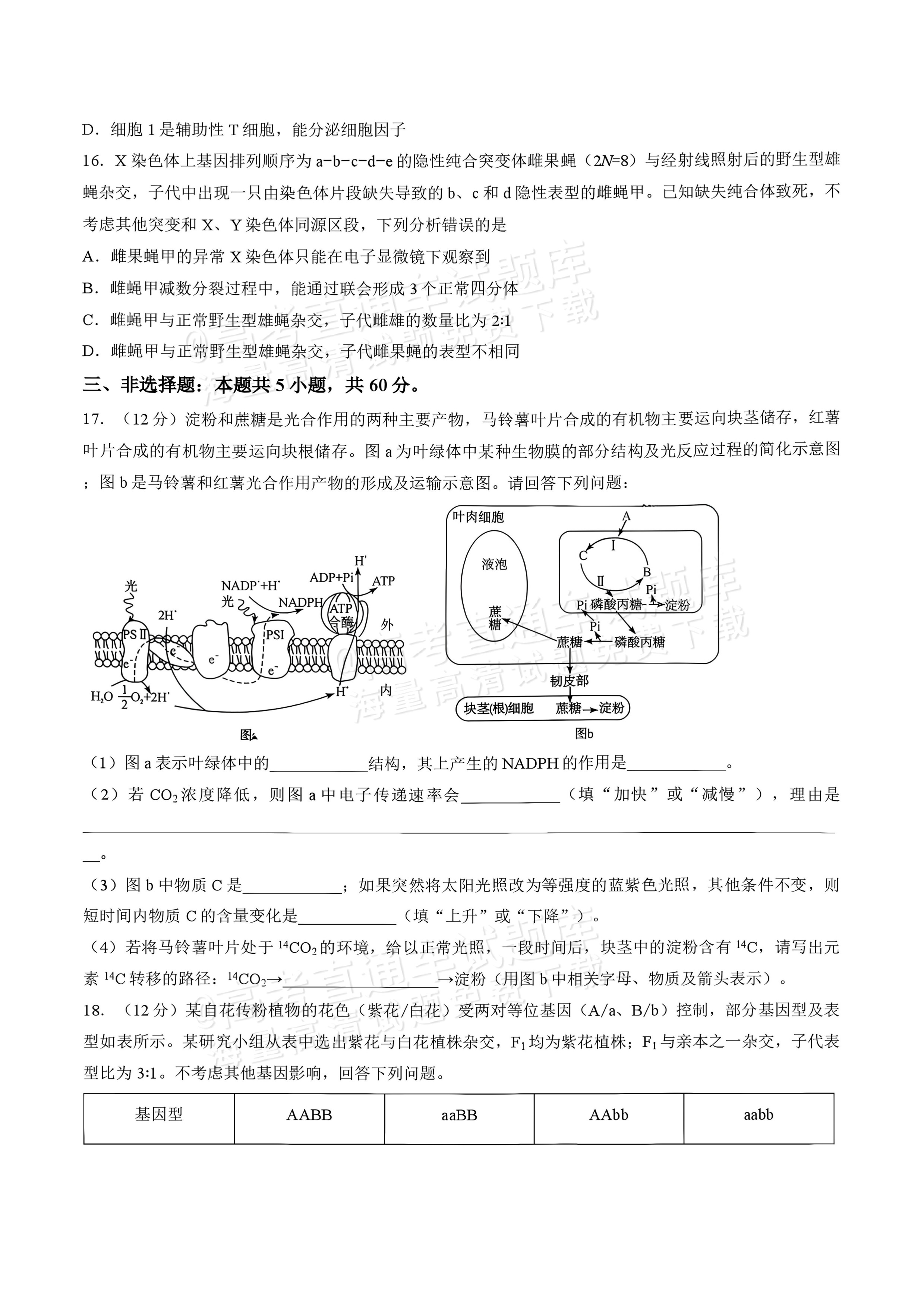 2027湖南五市十校联考高二上10月阶段检测 生物试题及参考答案 第6页