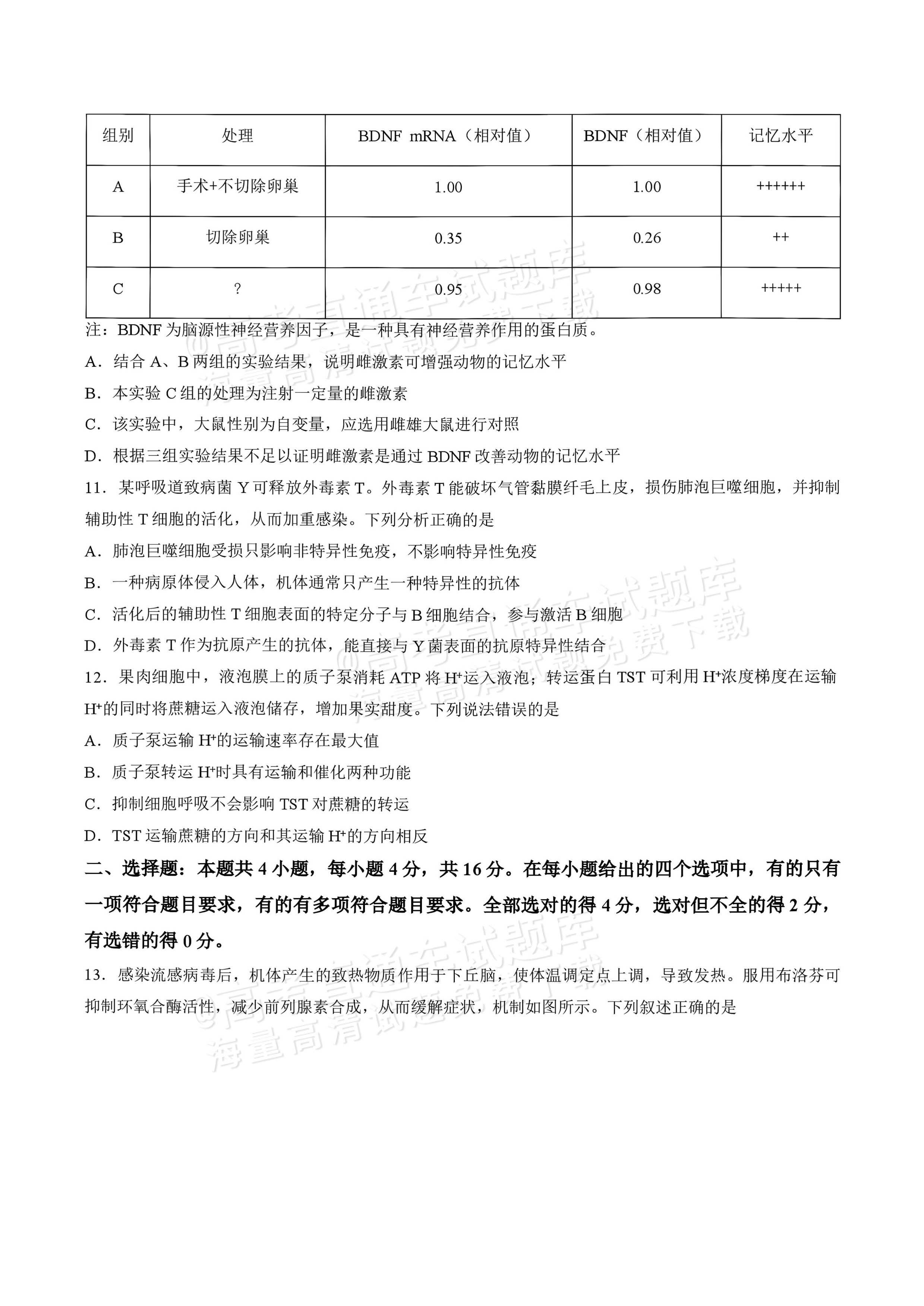 2027湖南五市十校联考高二上10月阶段检测 生物试题及参考答案 第4页