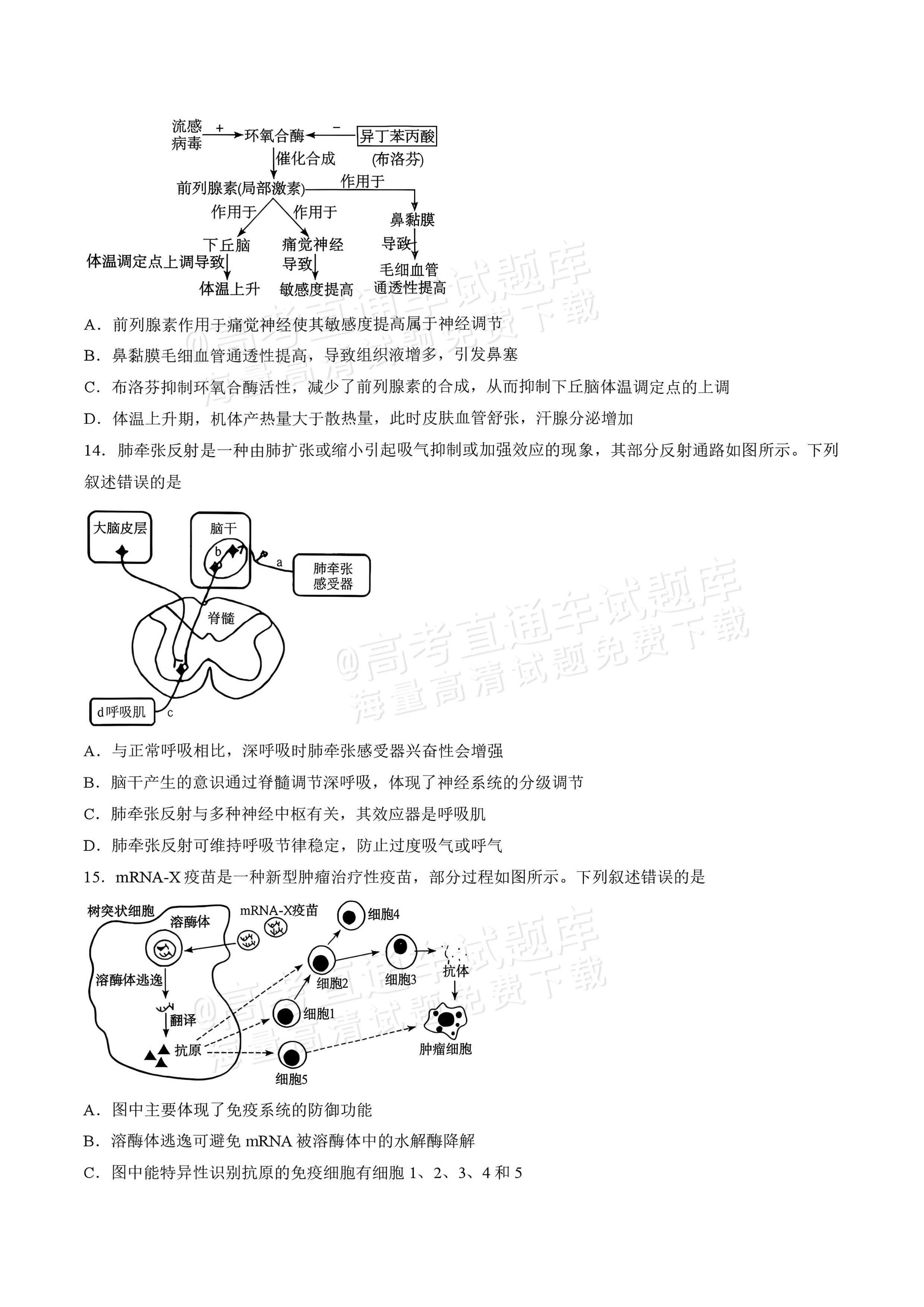2027湖南五市十校联考高二上10月阶段检测 生物试题及参考答案 第5页