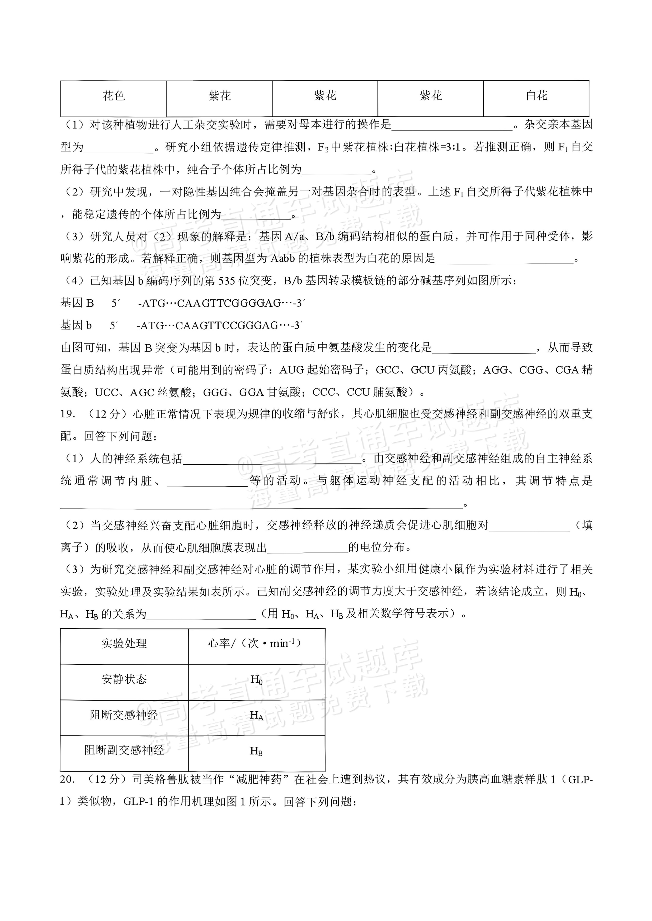 2027湖南五市十校联考高二上10月阶段检测 生物试题及参考答案 第7页