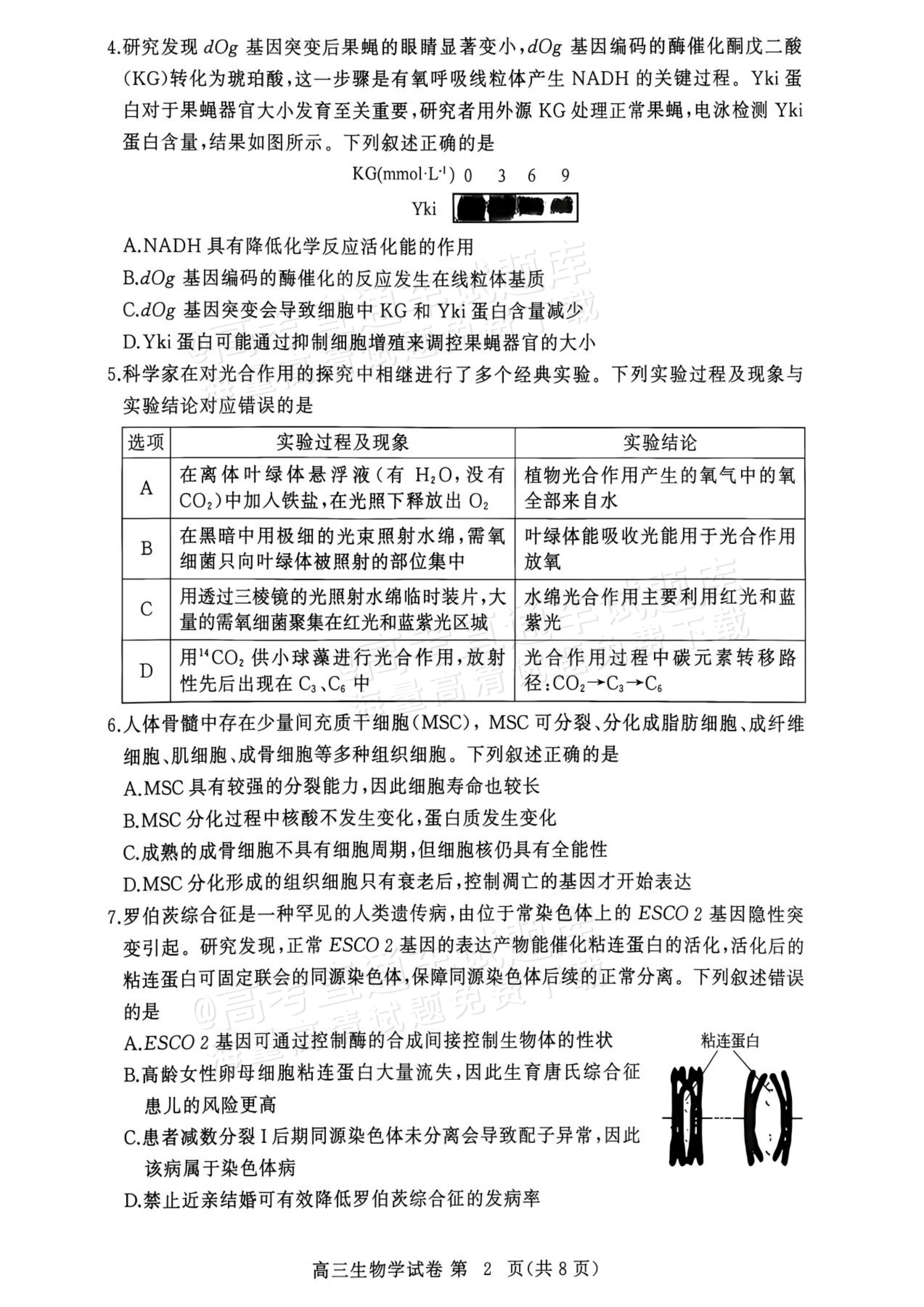 2027湖北鄂州高三9月联考生物试题及参考答案 第2页