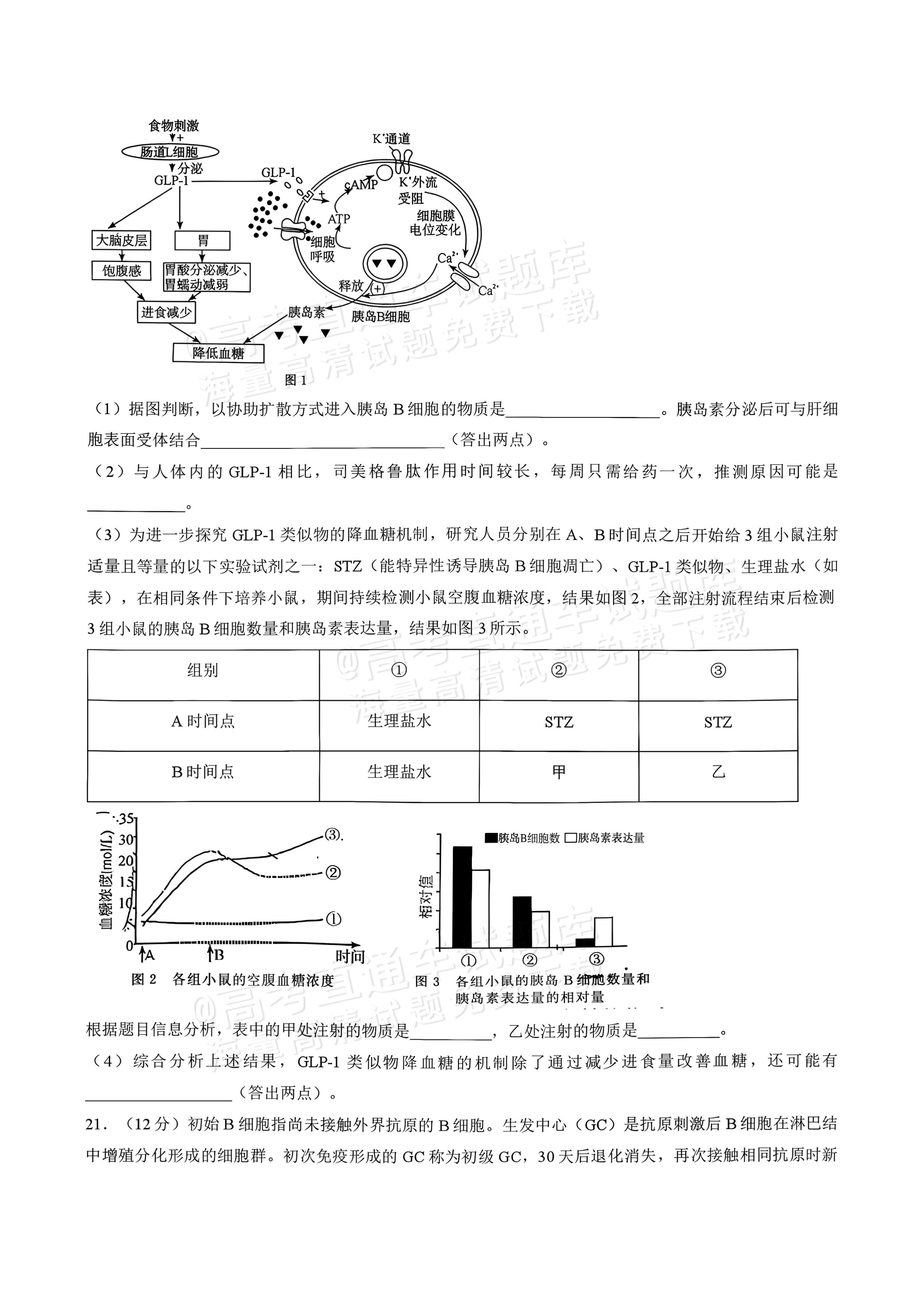 2027湖南五市十校联考高二上10月阶段检测 生物试题及参考答案 第8页