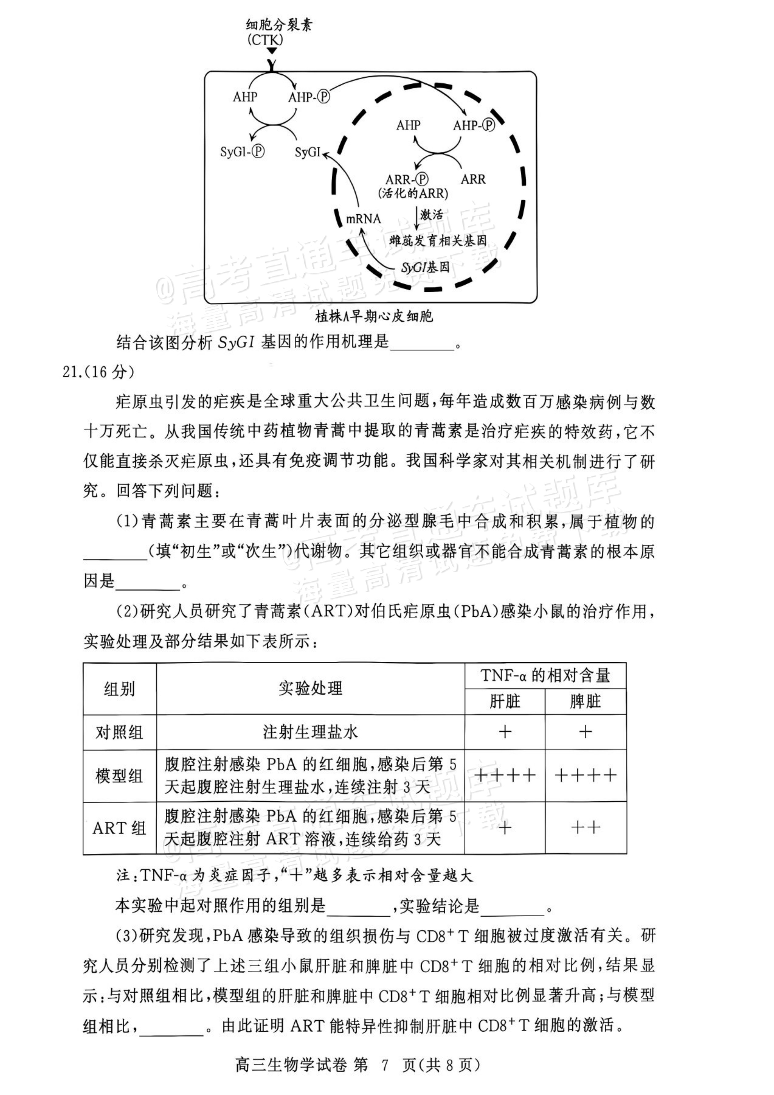 2027湖北鄂州高三9月联考生物试题及参考答案 第7页