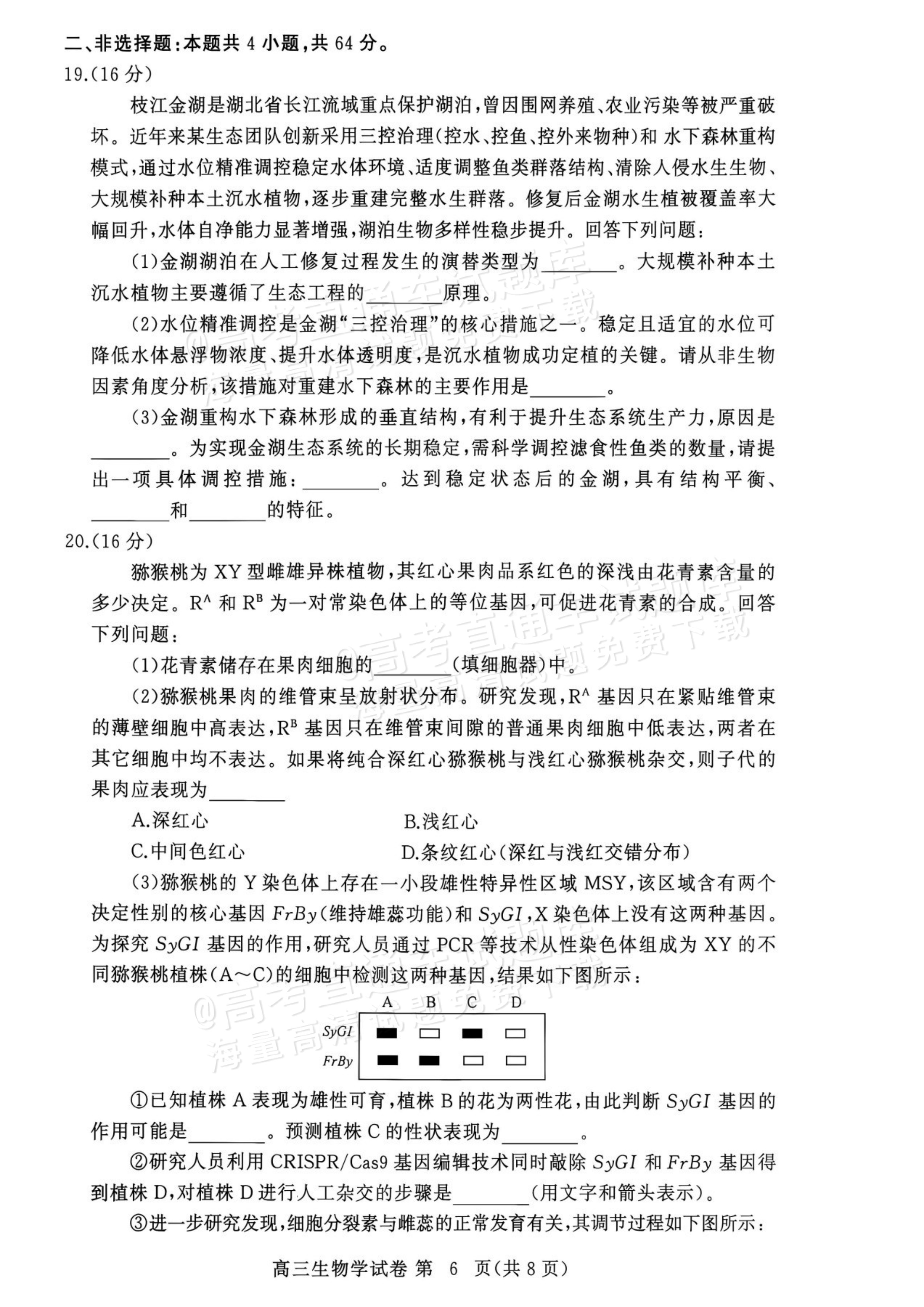 2027湖北鄂州高三9月联考生物试题及参考答案 第6页