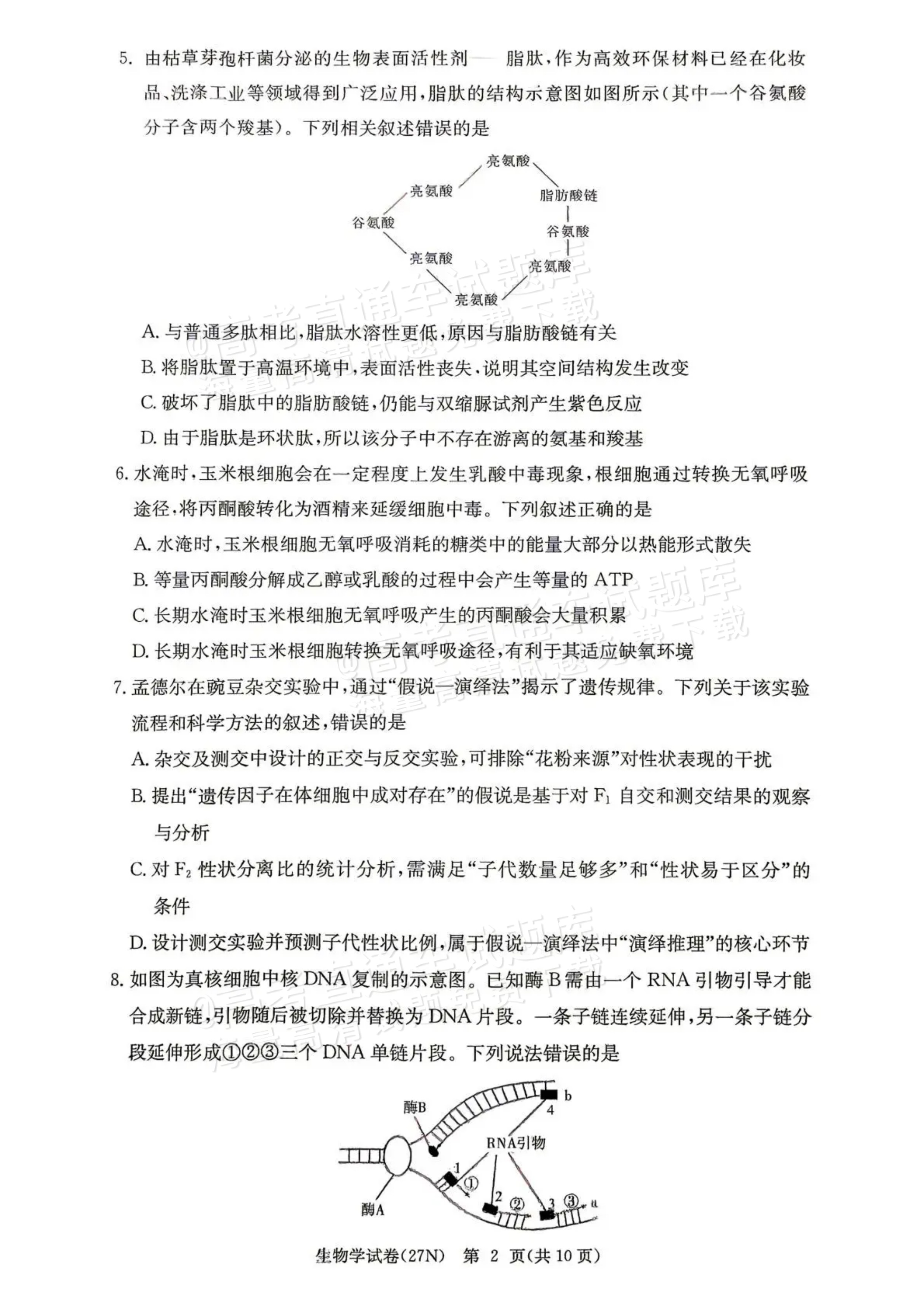 2027湖南省长沙市长郡中学高三10月月考卷(二)(27N)生物试题及参考答案 第2页