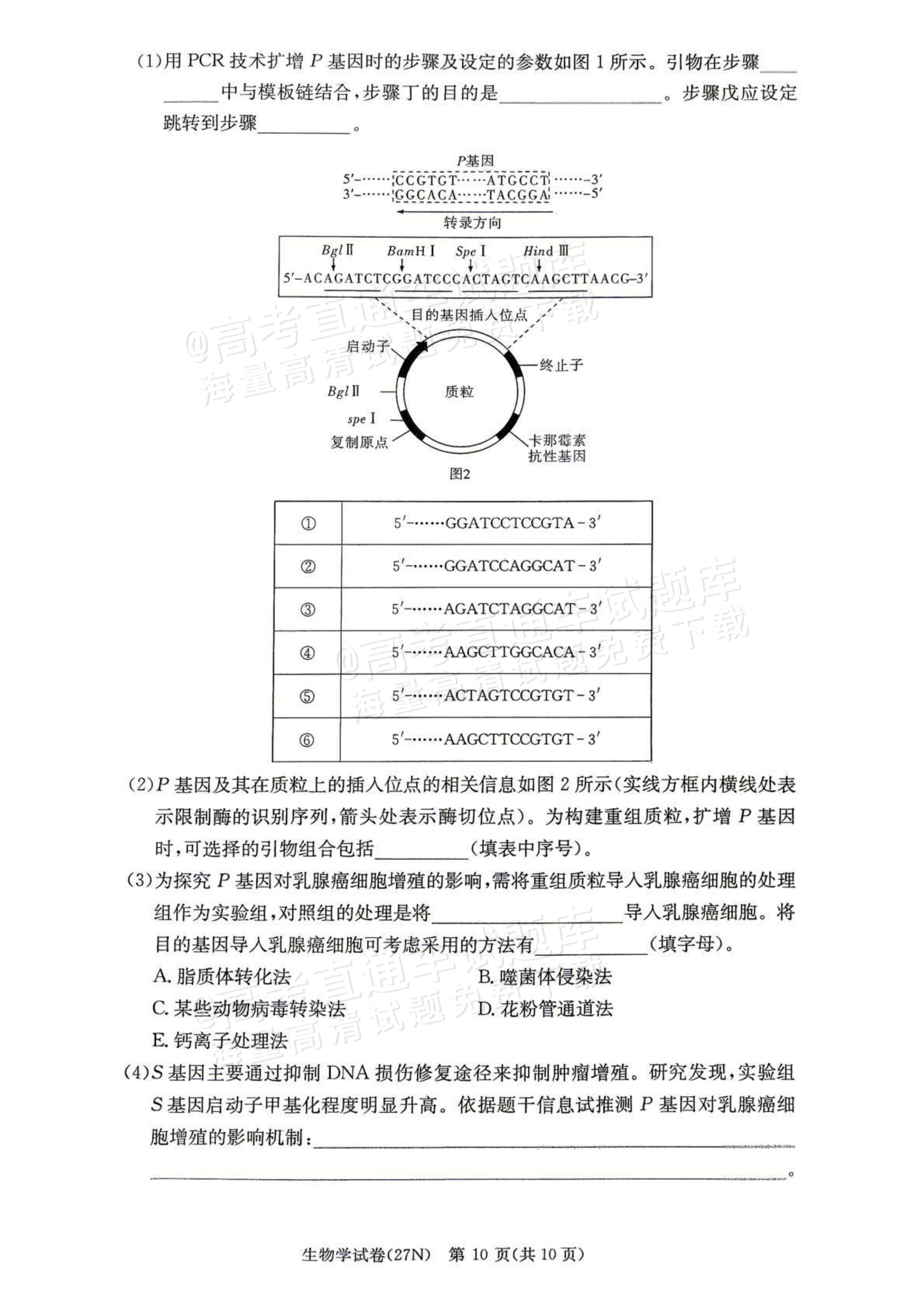 2027湖南省长沙市长郡中学高三10月月考卷(二)(27N)生物试题及参考答案 第10页