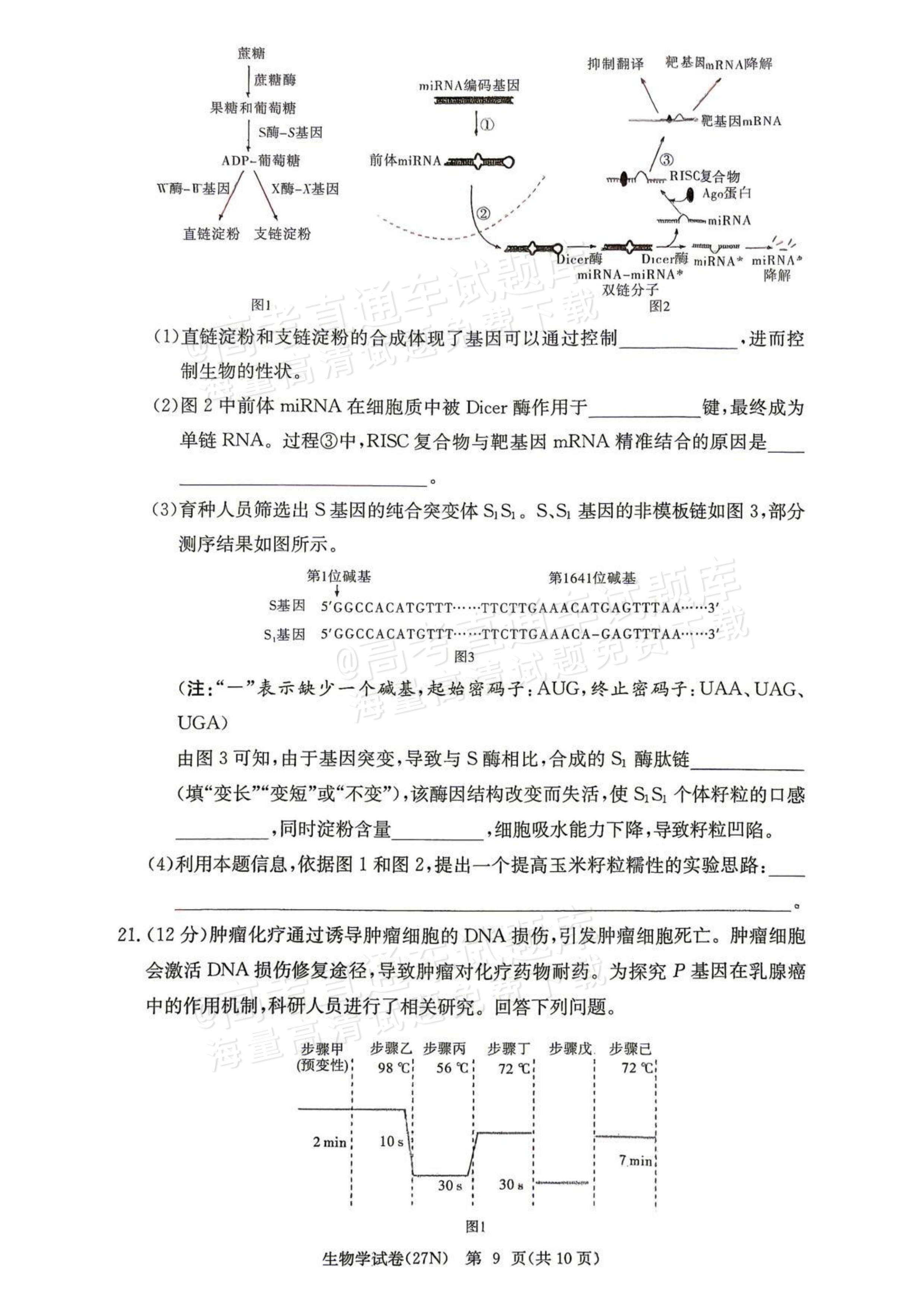 2027湖南省长沙市长郡中学高三10月月考卷(二)(27N)生物试题及参考答案 第9页
