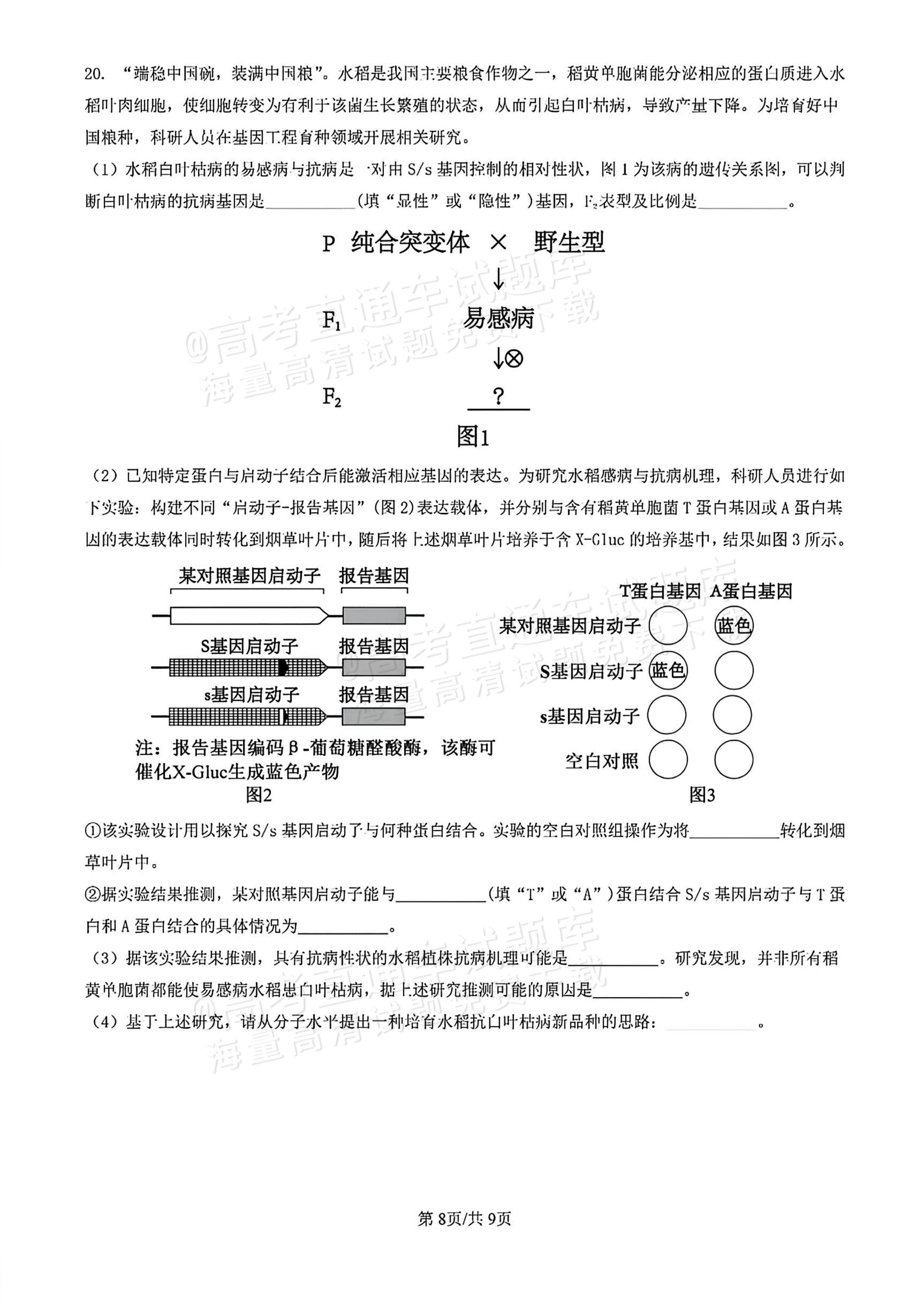 2026顺德二模生物试题及参考答案 第8页