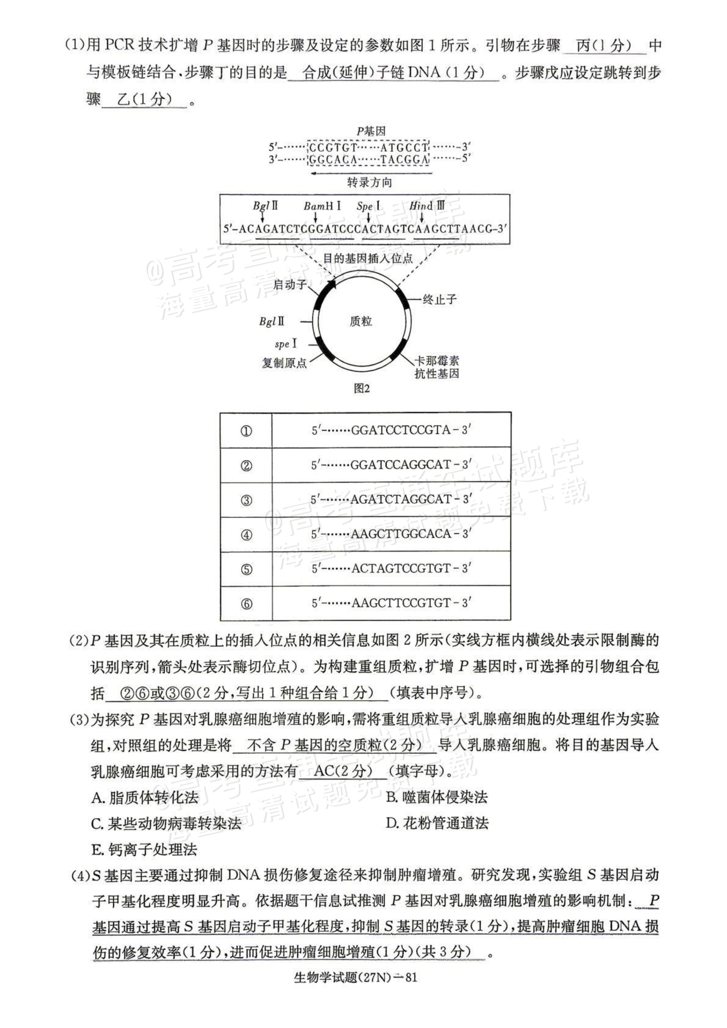 2027湖南省长沙市长郡中学高三10月月考卷(二)(27N)生物试题及参考答案 答案 第13页