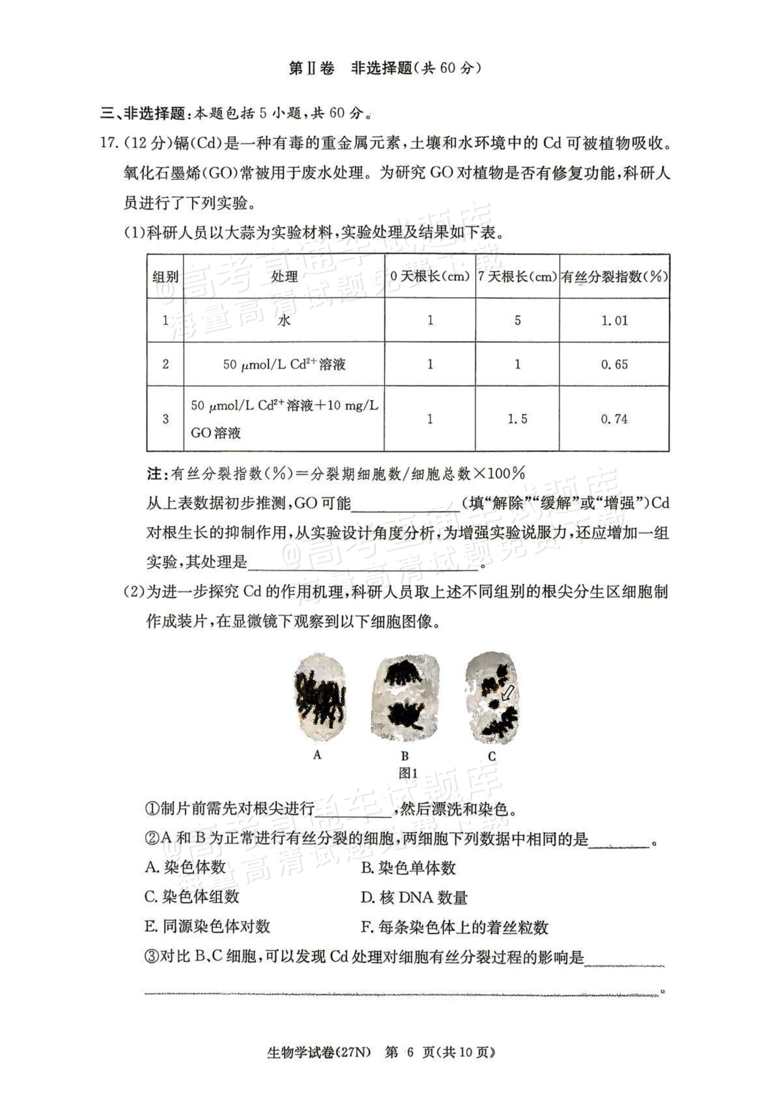 2027湖南省长沙市长郡中学高三10月月考卷(二)(27N)生物试题及参考答案 第6页
