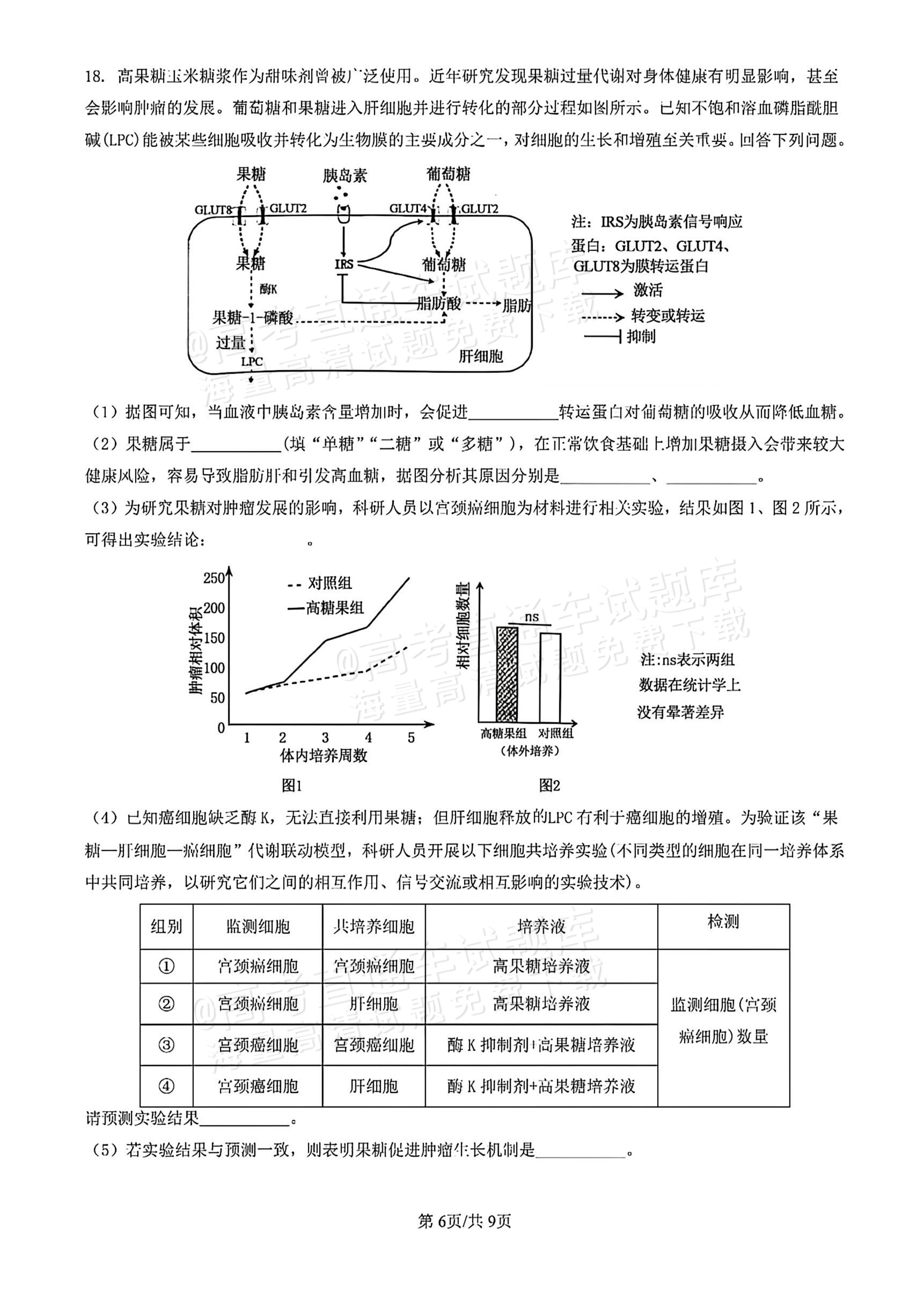 2026顺德二模生物试题及参考答案 第6页