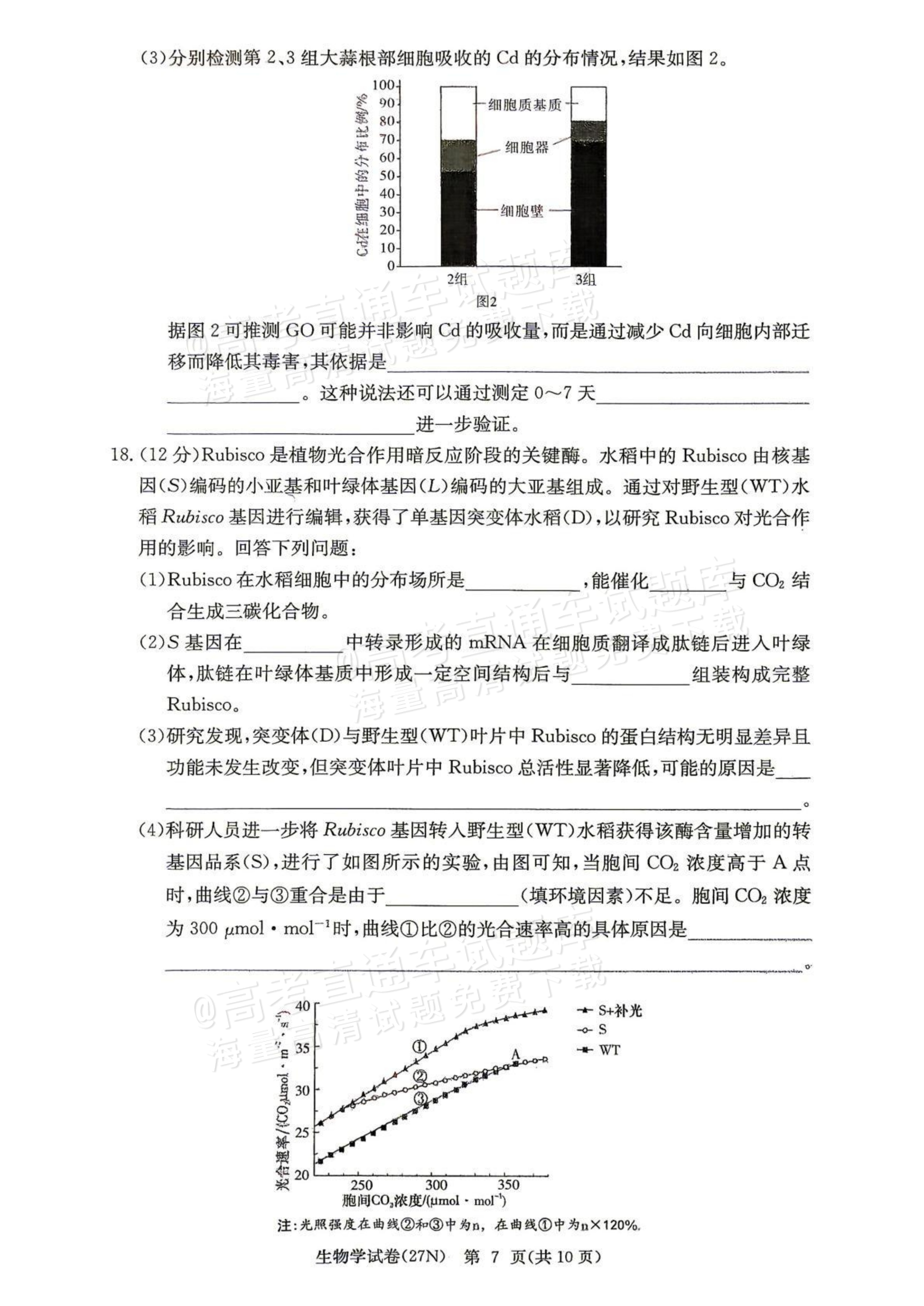 2027湖南省长沙市长郡中学高三10月月考卷(二)(27N)生物试题及参考答案 第7页