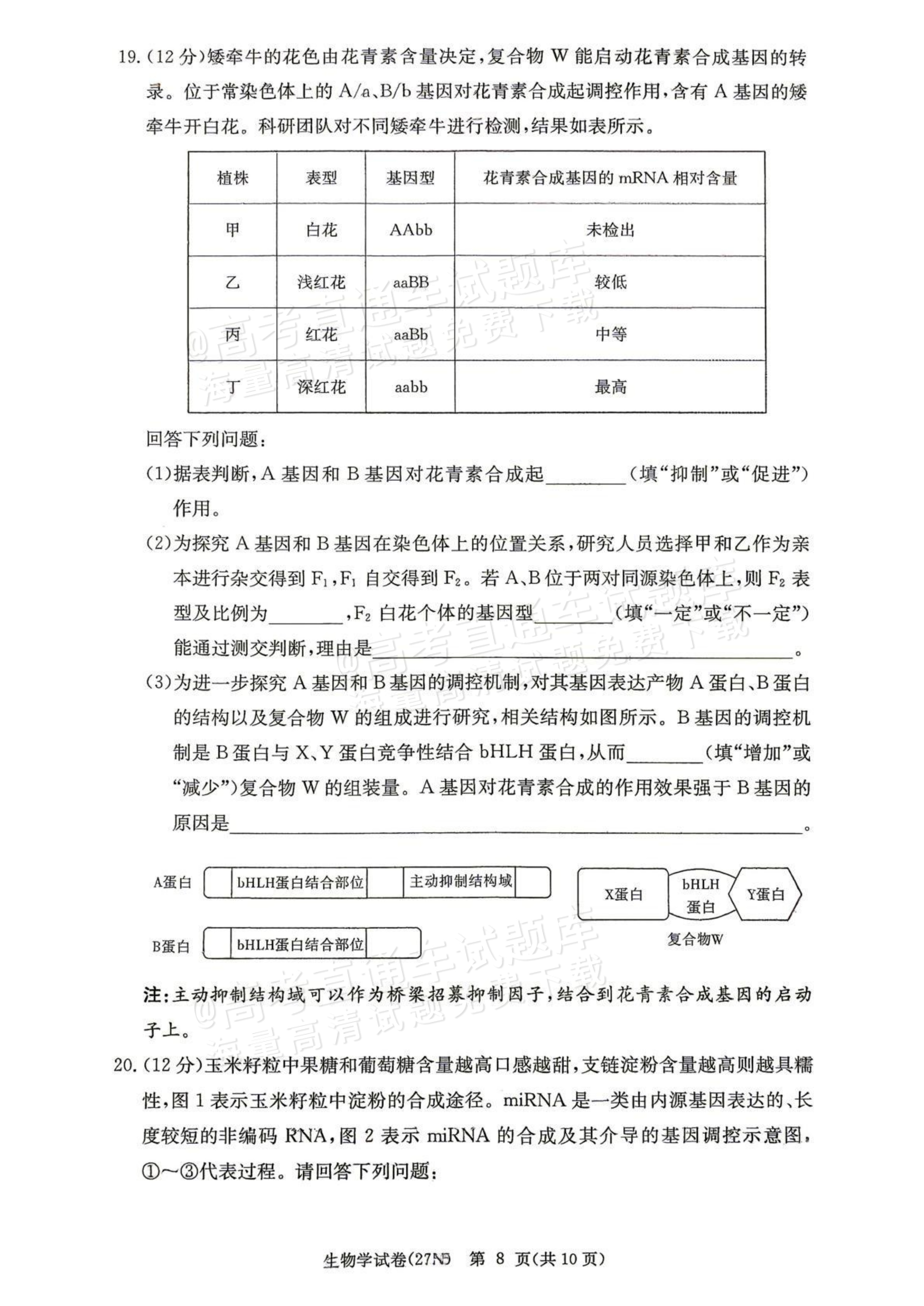 2027湖南省长沙市长郡中学高三10月月考卷(二)(27N)生物试题及参考答案 第8页