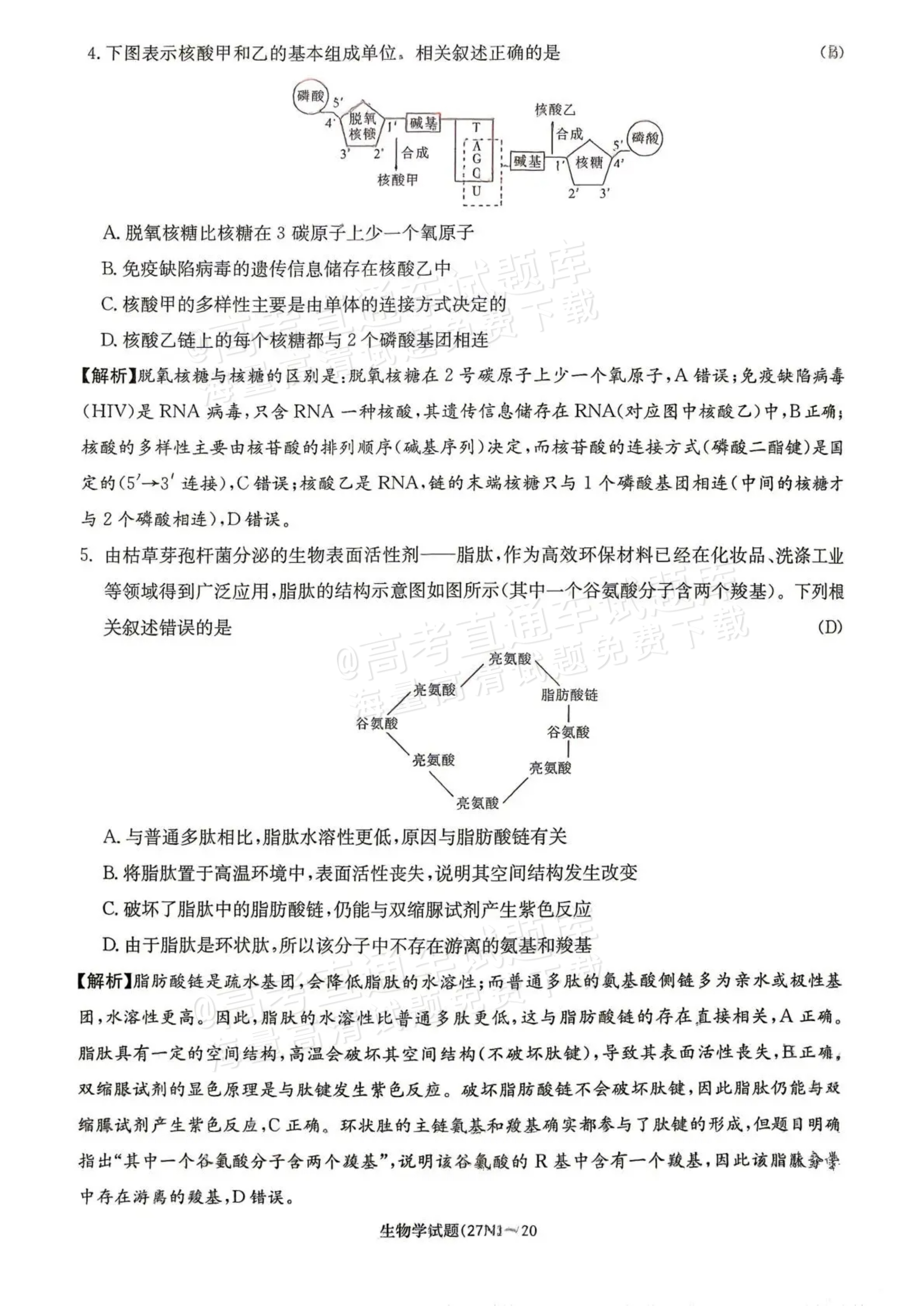 2027湖南省长沙市长郡中学高三10月月考卷(二)(27N)生物试题及参考答案 答案 第2页