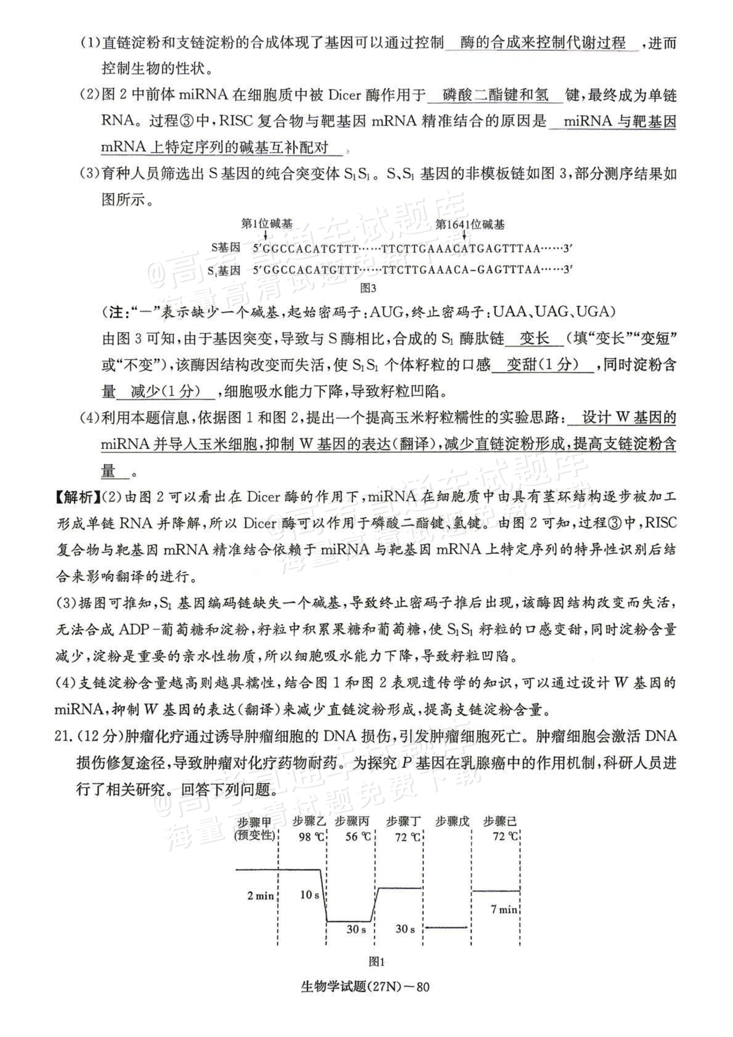 2027湖南省长沙市长郡中学高三10月月考卷(二)(27N)生物试题及参考答案 答案 第12页