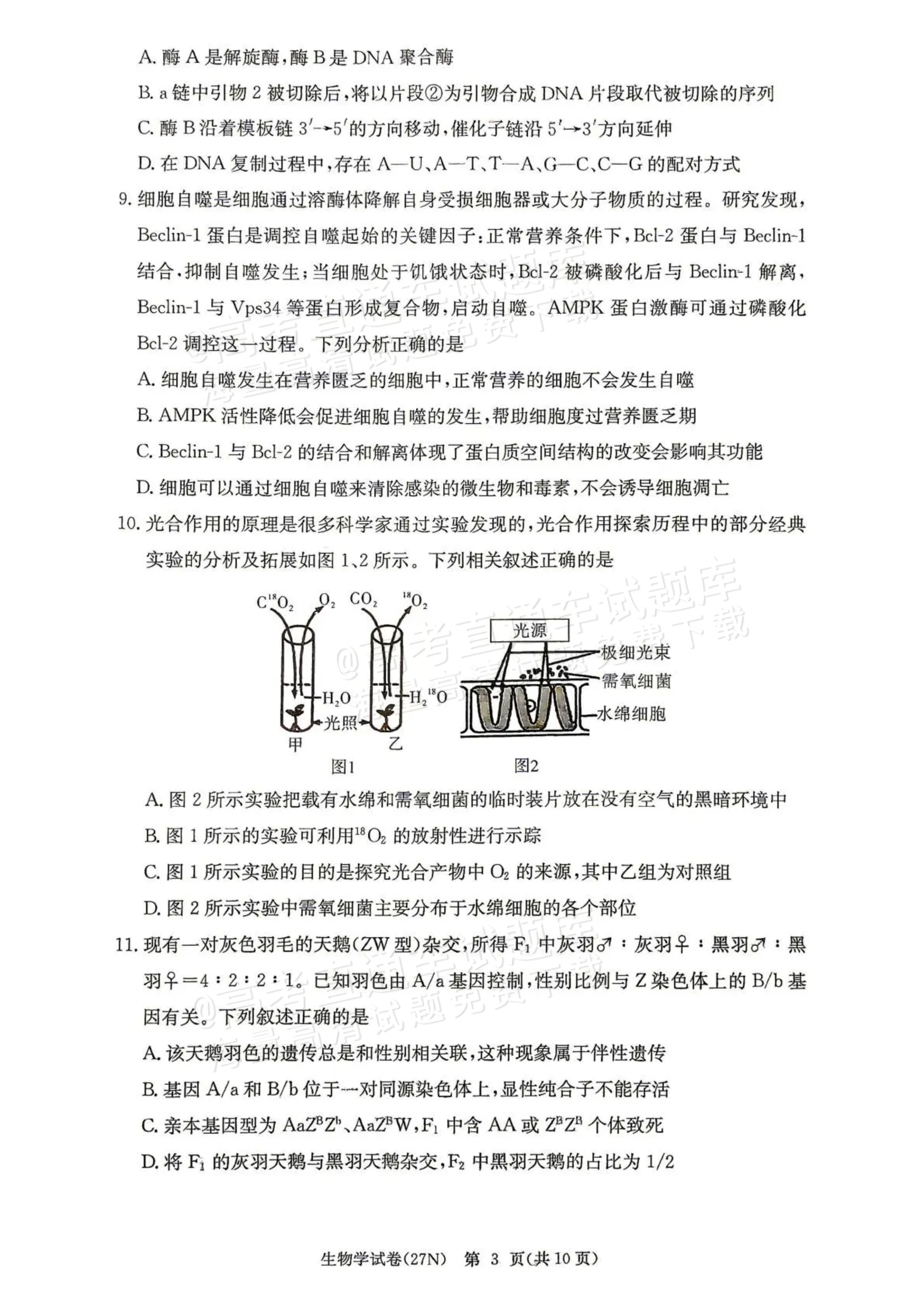 2027湖南省长沙市长郡中学高三10月月考卷(二)(27N)生物试题及参考答案 第3页