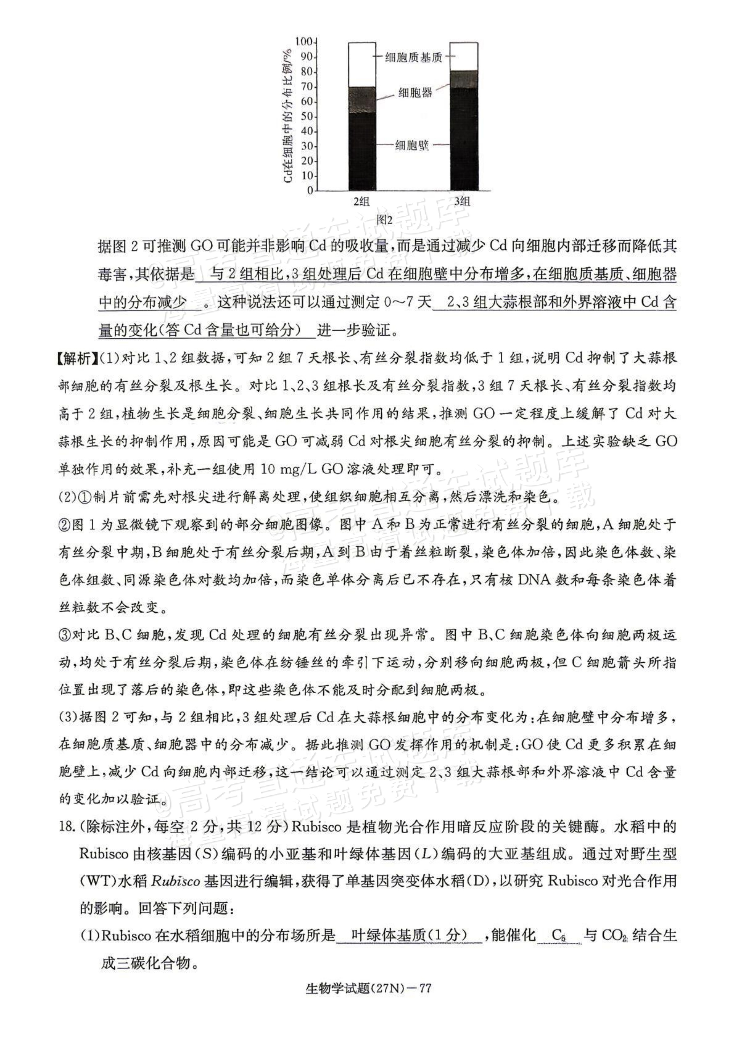 2027湖南省长沙市长郡中学高三10月月考卷(二)(27N)生物试题及参考答案 答案 第9页