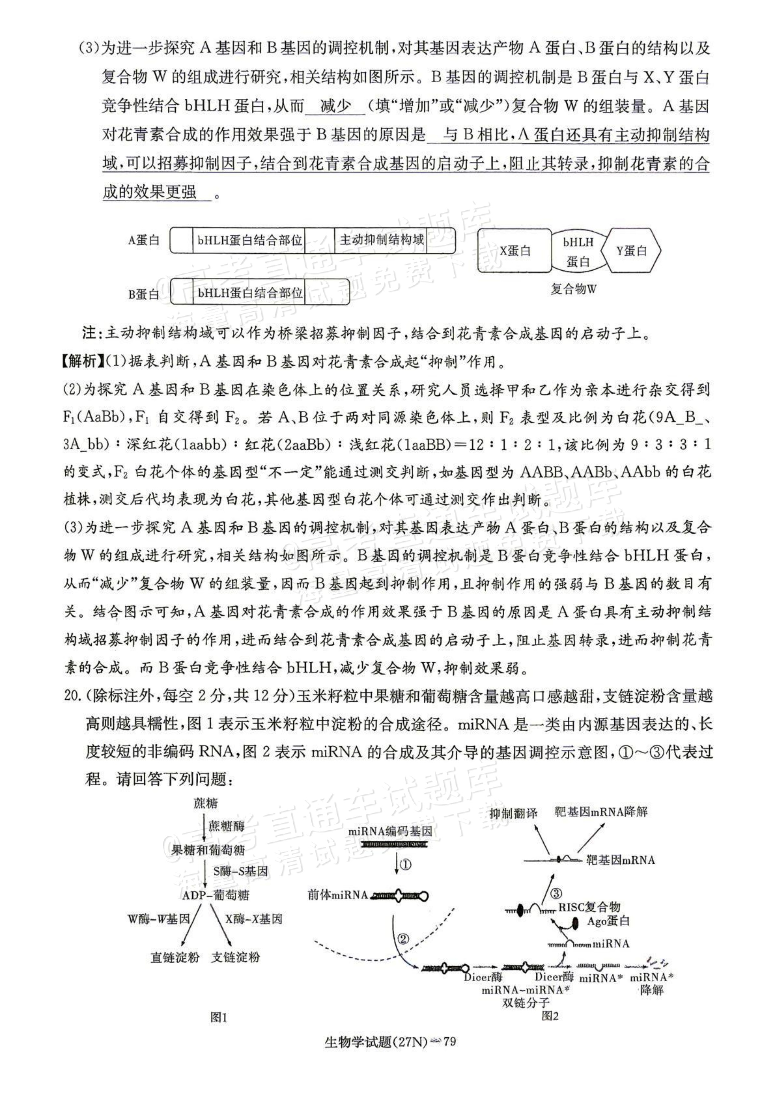 2027湖南省长沙市长郡中学高三10月月考卷(二)(27N)生物试题及参考答案 答案 第11页
