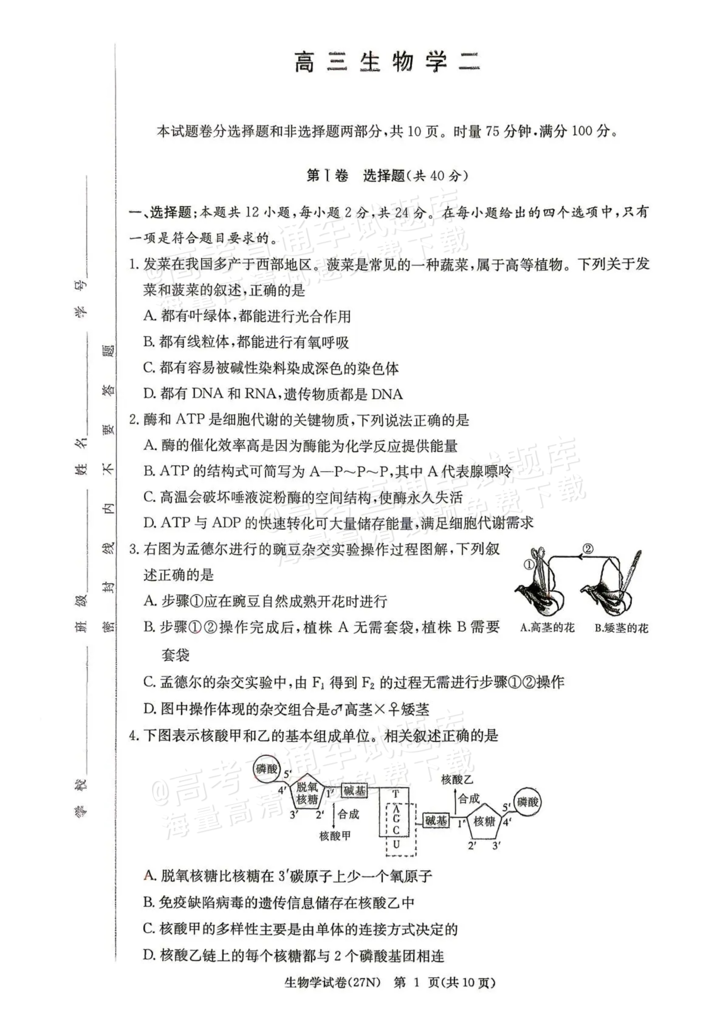 2027湖南省长沙市长郡中学高三10月月考卷(二)(27N)生物试题及参考答案 第1页