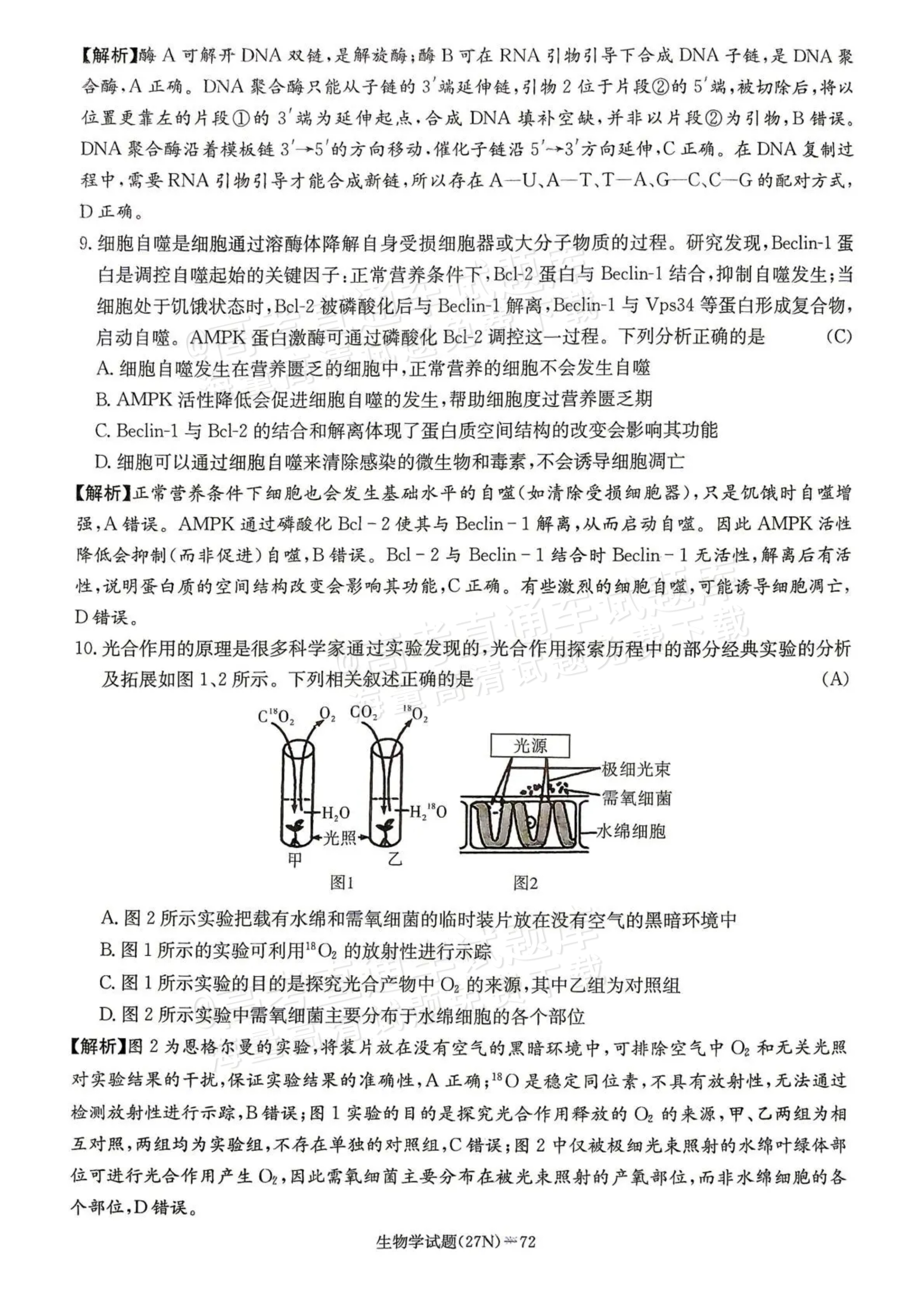 2027湖南省长沙市长郡中学高三10月月考卷(二)(27N)生物试题及参考答案 答案 第4页