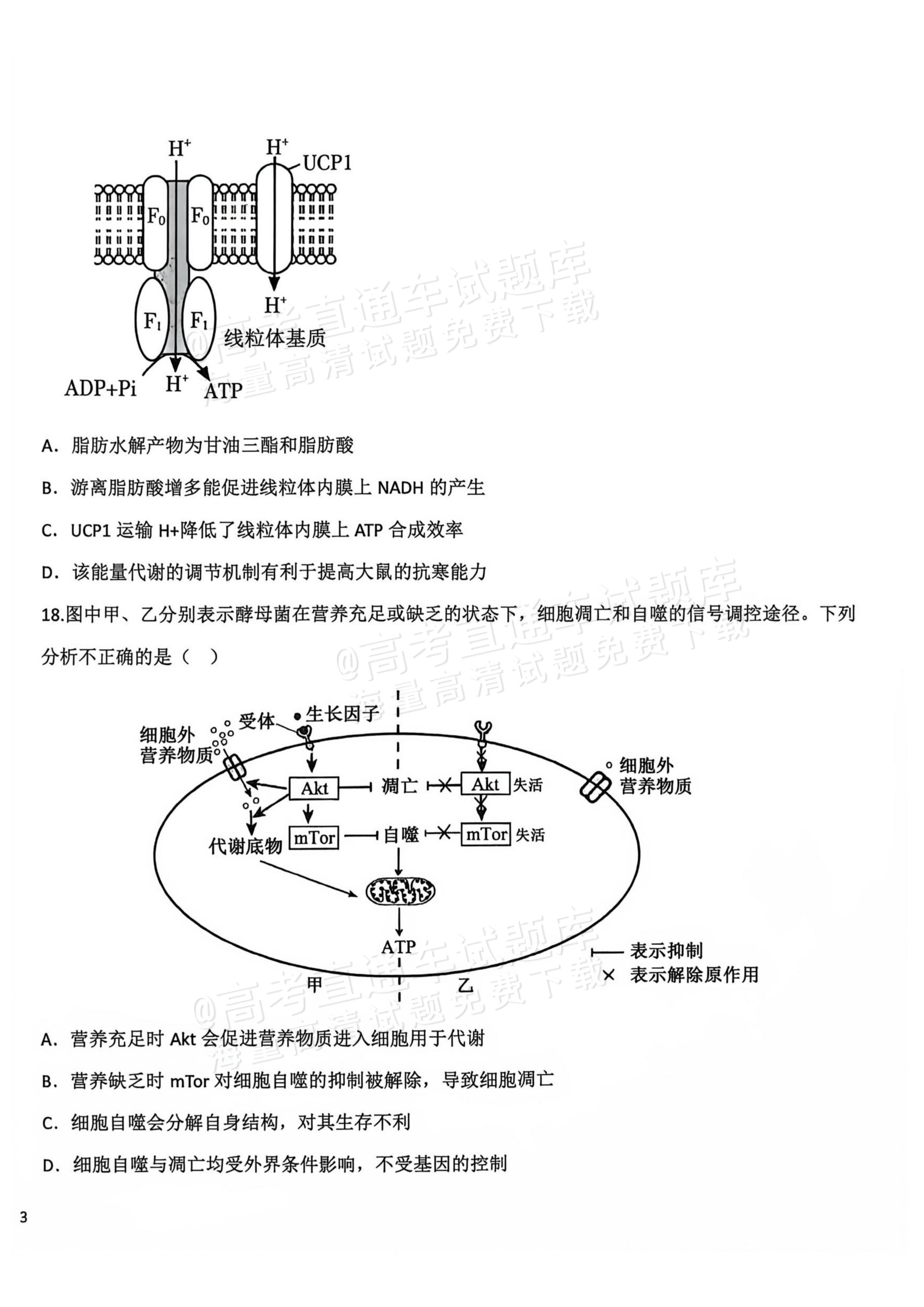 2027辽宁鞍山市部分高中高三10月阶段检测生物试题及参考答案 第5页