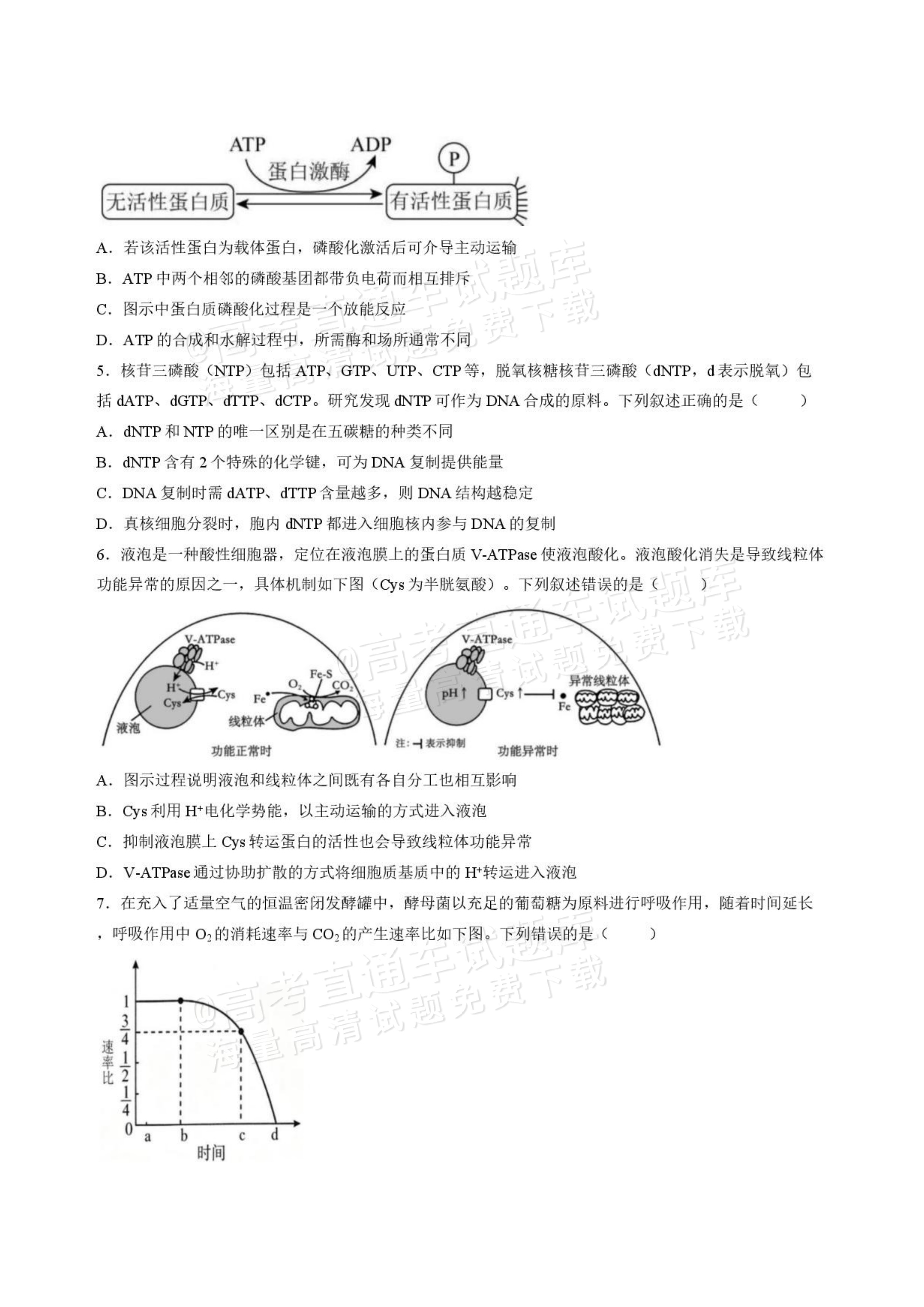 2027山西省太原五中高三10月学科阶段性检测生物试题及参考答案 第2页