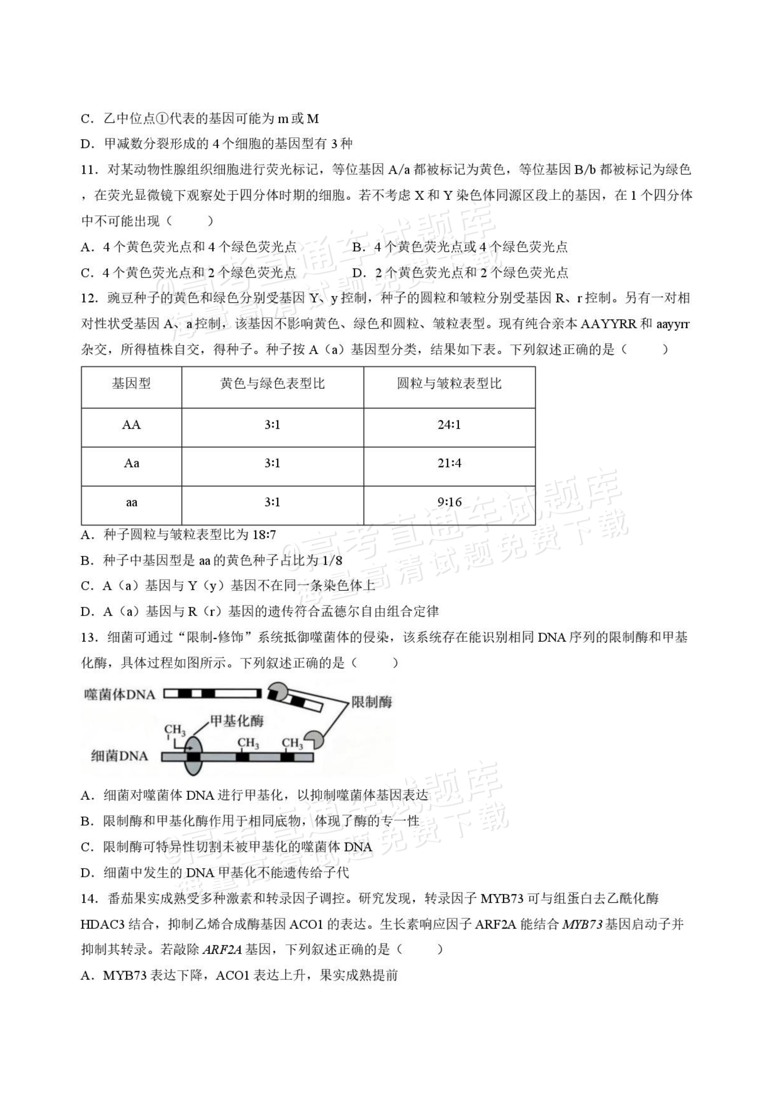 2027山西省太原五中高三10月学科阶段性检测生物试题及参考答案 第4页