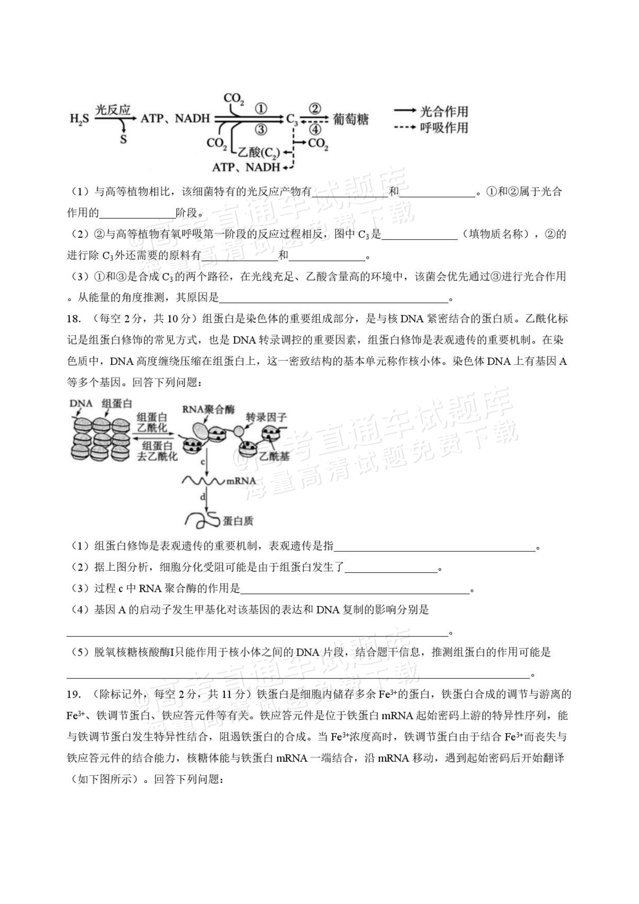2027山西省太原五中高三10月学科阶段性检测生物试题及参考答案 第6页