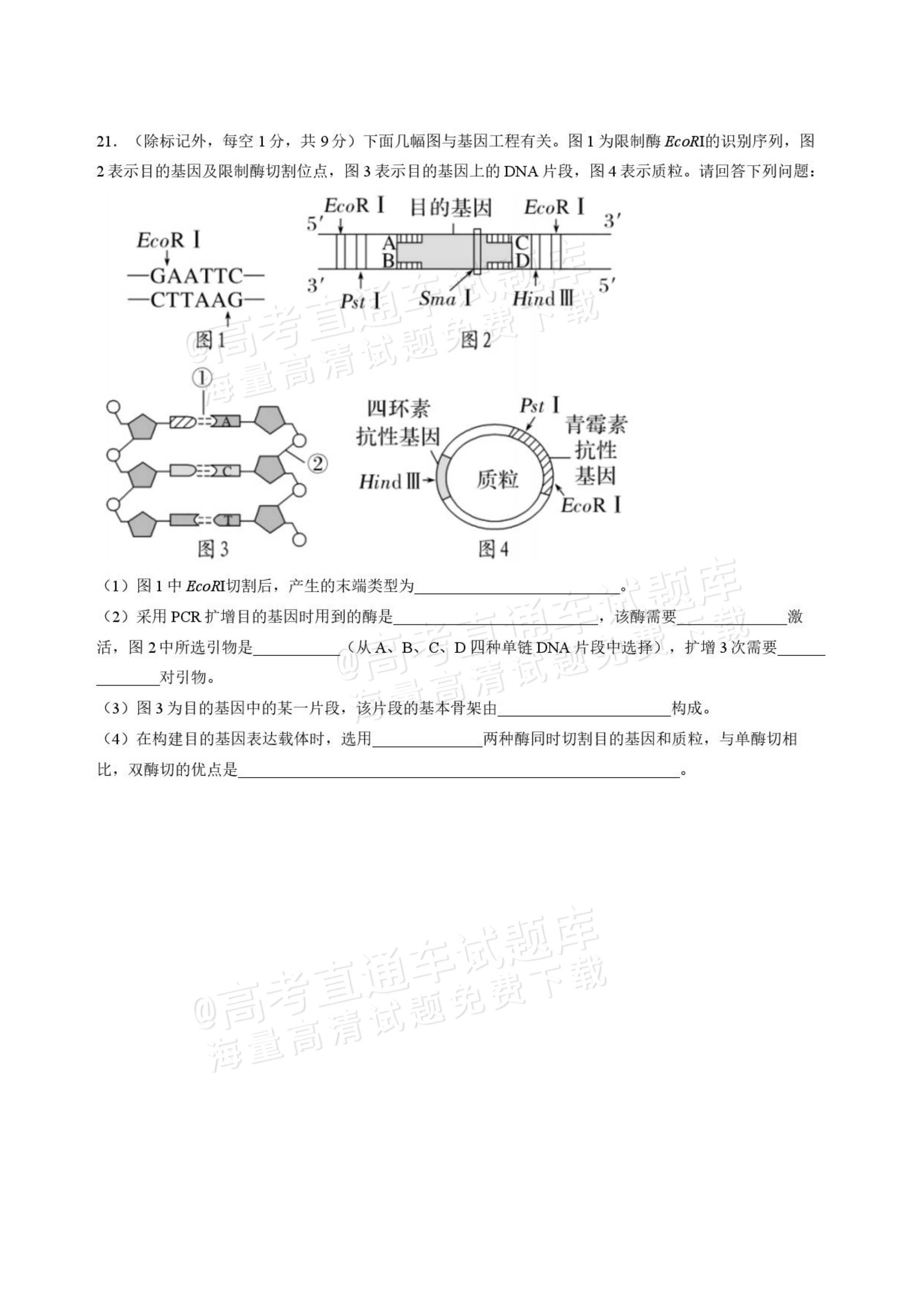 2027山西省太原五中高三10月学科阶段性检测生物试题及参考答案 第8页