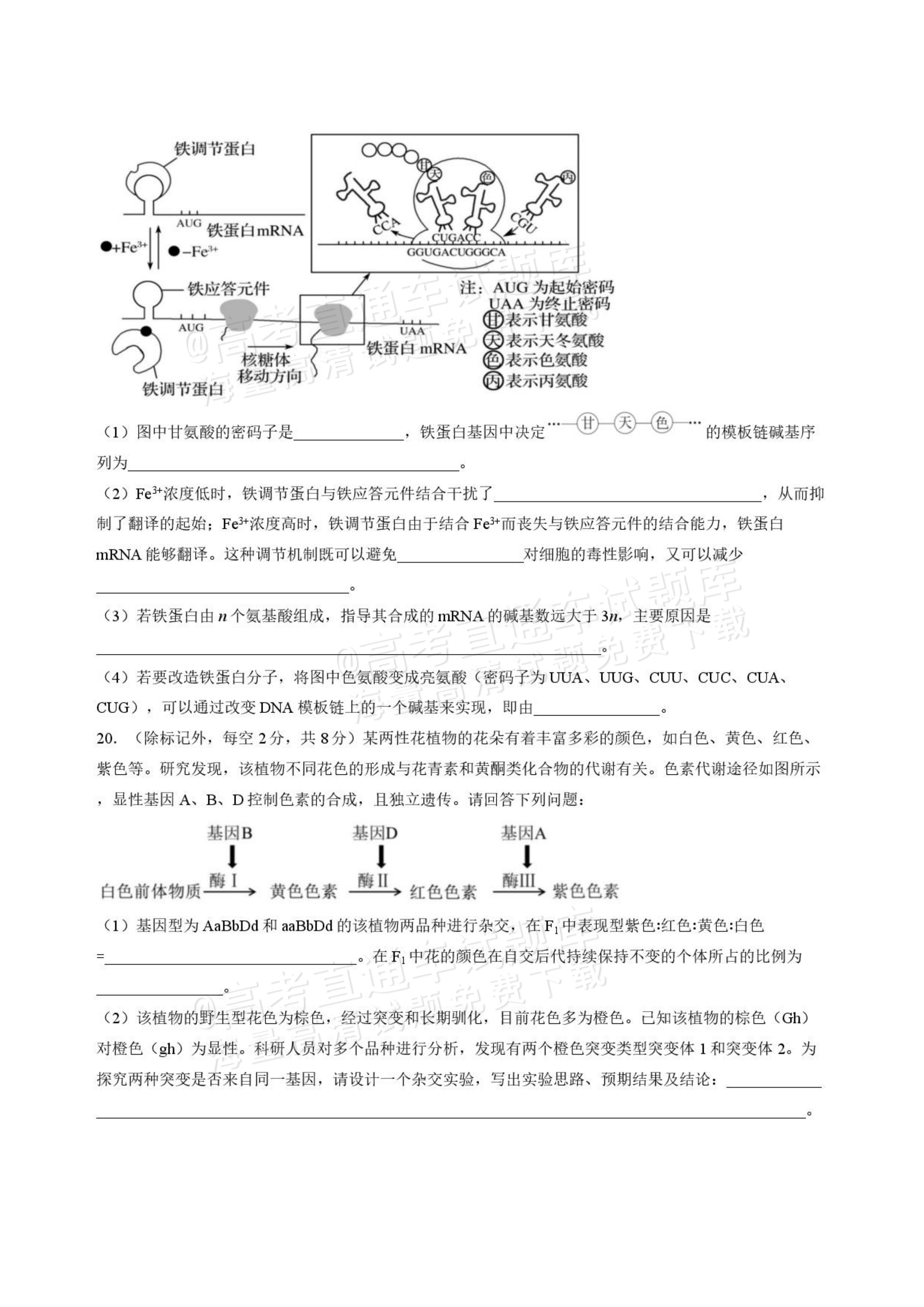 2027山西省太原五中高三10月学科阶段性检测生物试题及参考答案 第7页