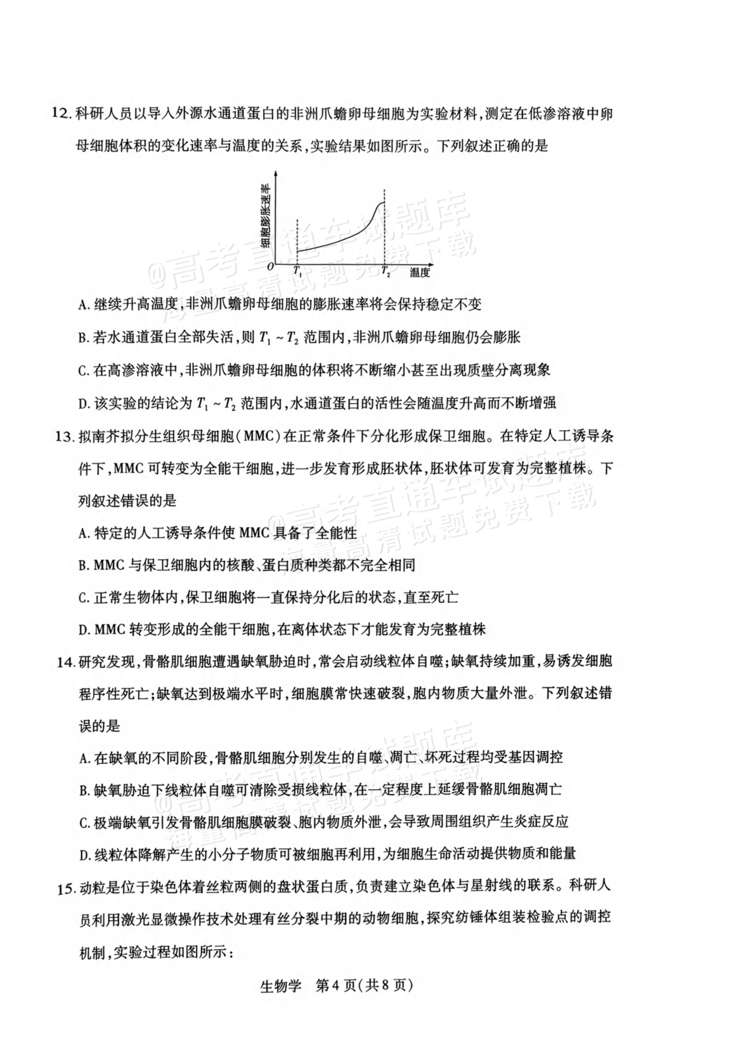 2027河南高三10月大联考生物试题及参考答案 第4页