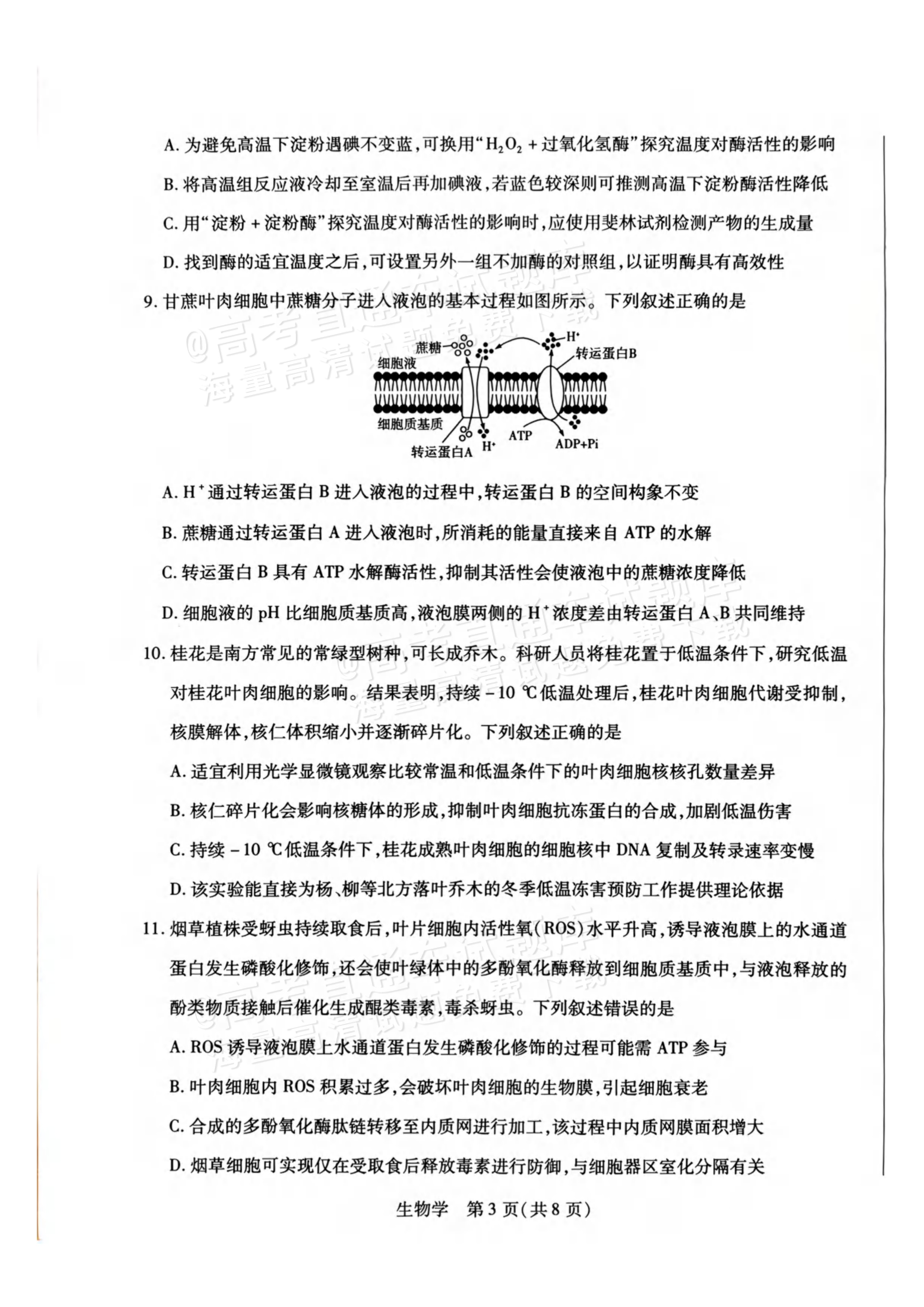 2027河南高三10月大联考生物试题及参考答案 第3页