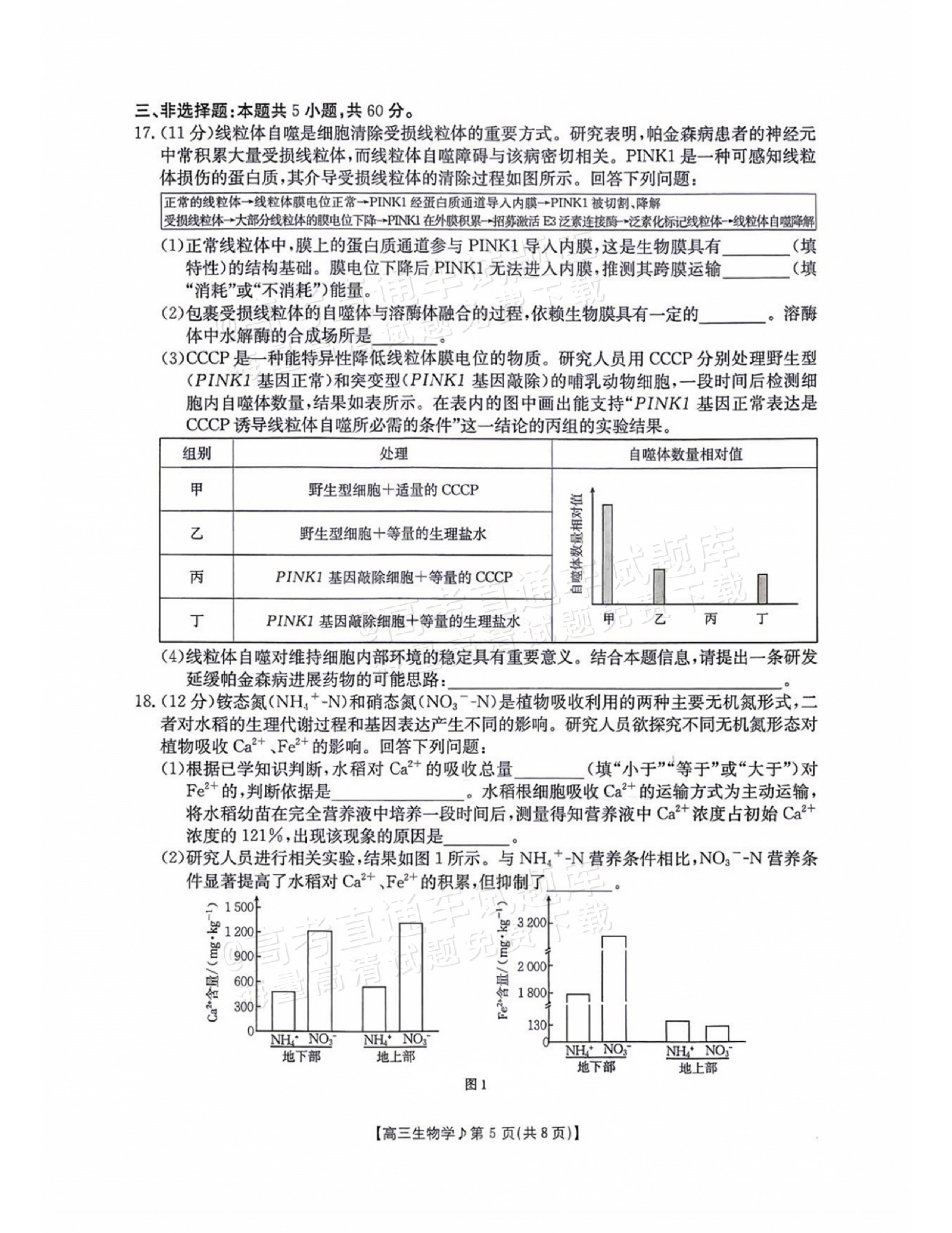 2027江西高三10月素养训练生物试题及参考答案 第5页