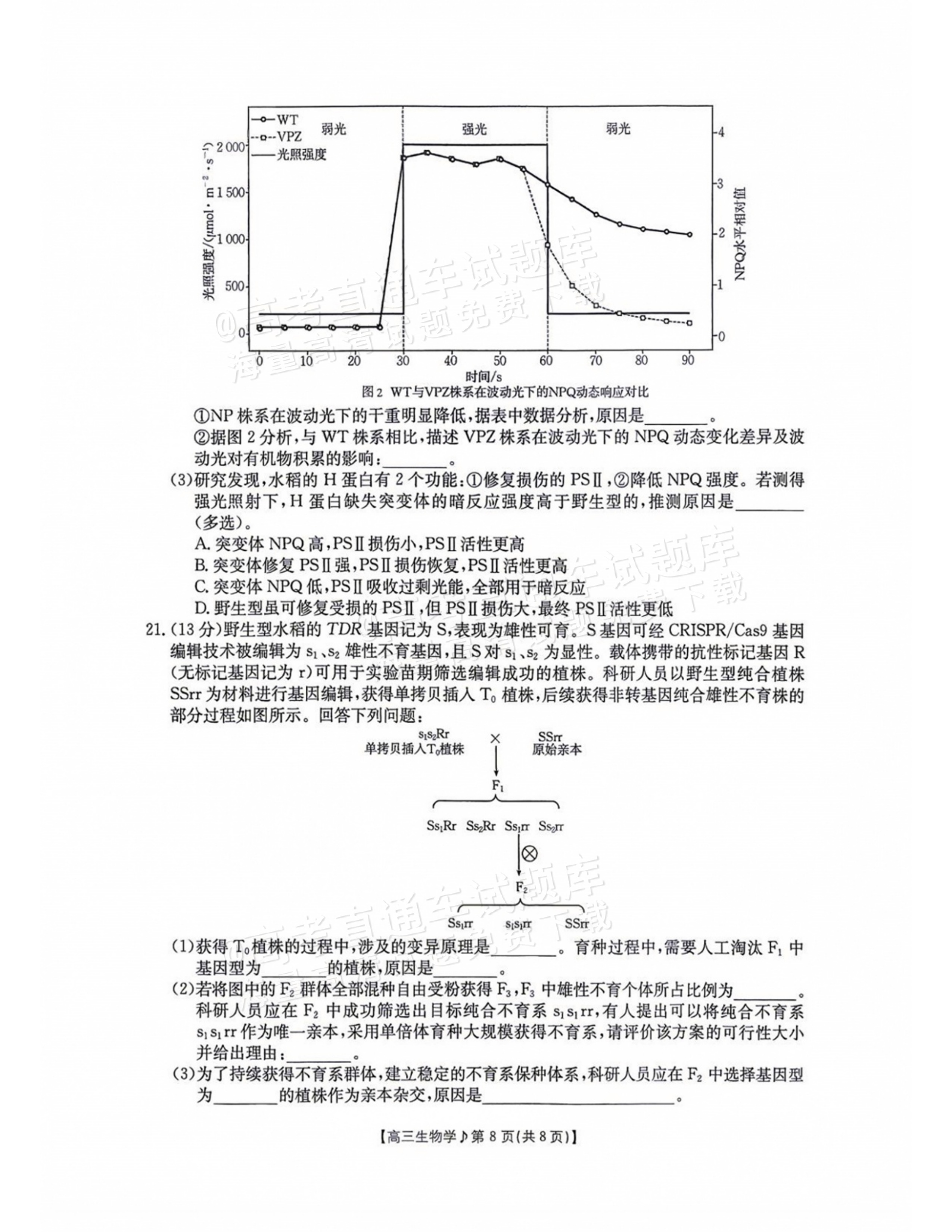 2027江西高三10月素养训练生物试题及参考答案 第8页