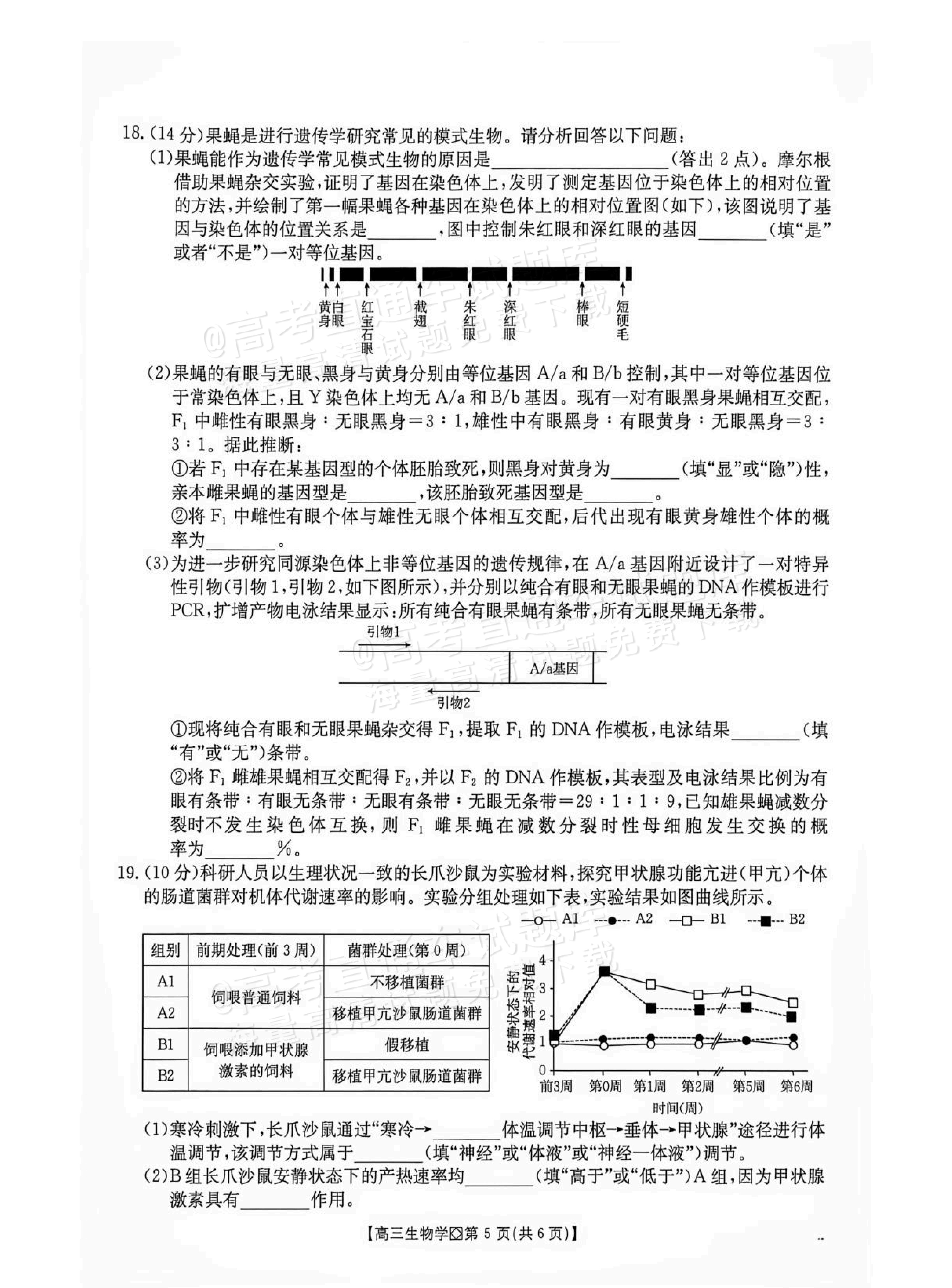 2027广西八市高三10月联考生物试题及参考答案 第5页