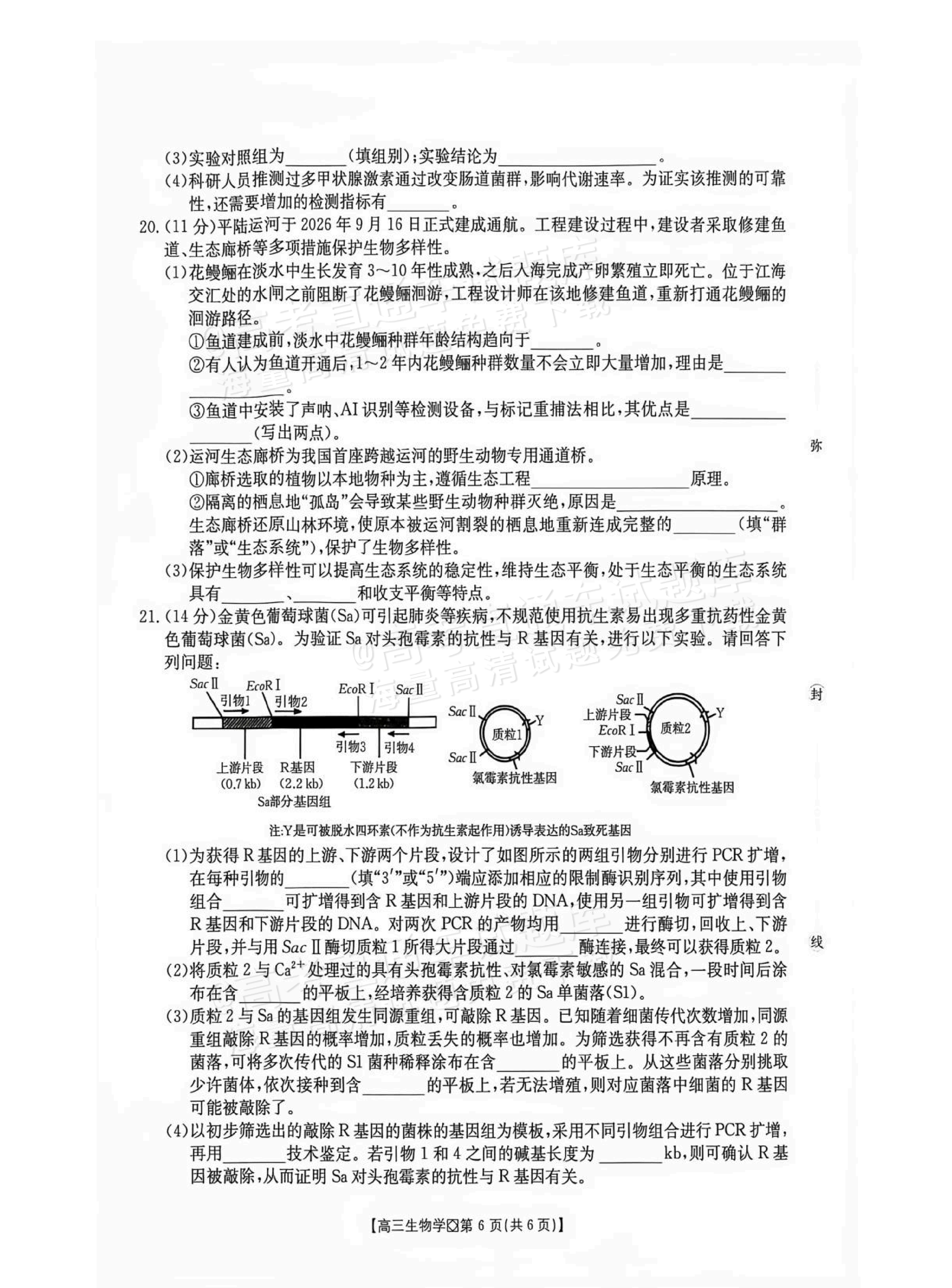 2027广西八市高三10月联考生物试题及参考答案 第6页
