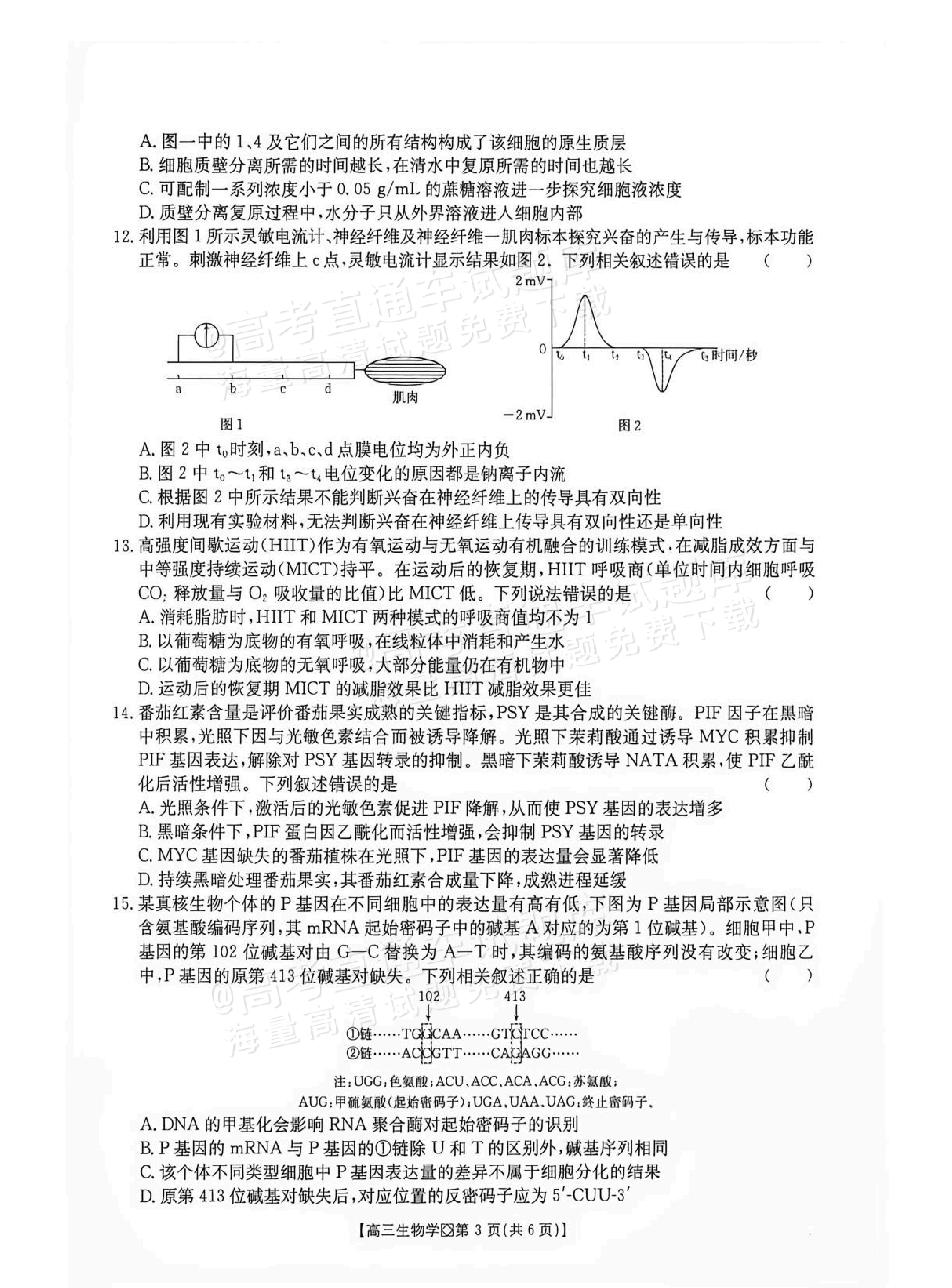2027广西八市高三10月联考生物试题及参考答案 第3页