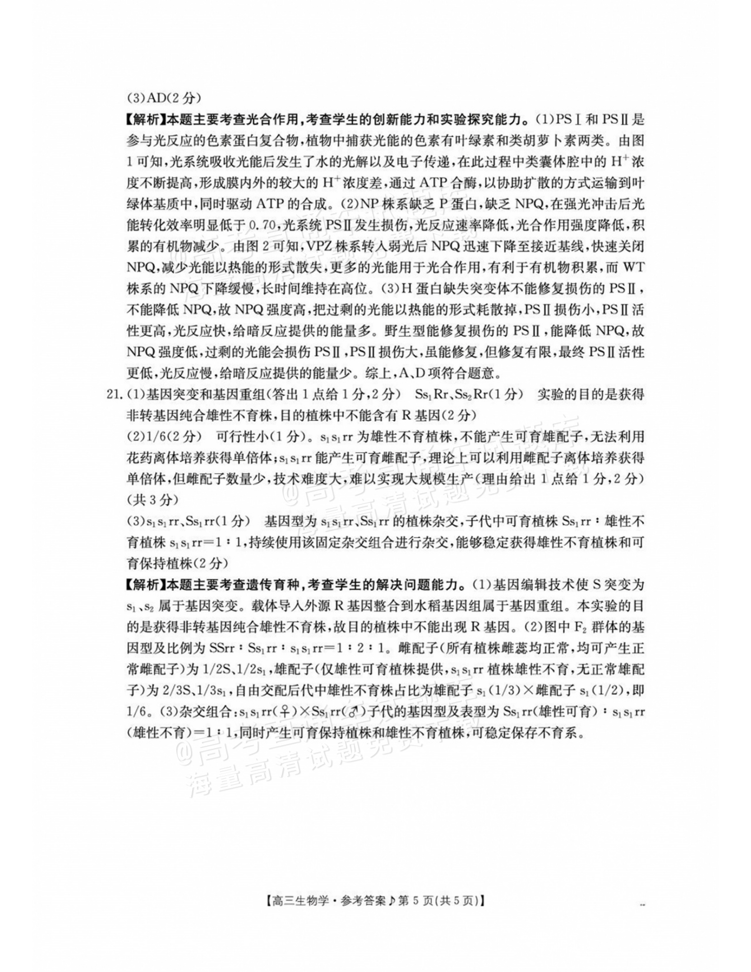 2027江西高三10月素养训练生物试题及参考答案 答案 第5页