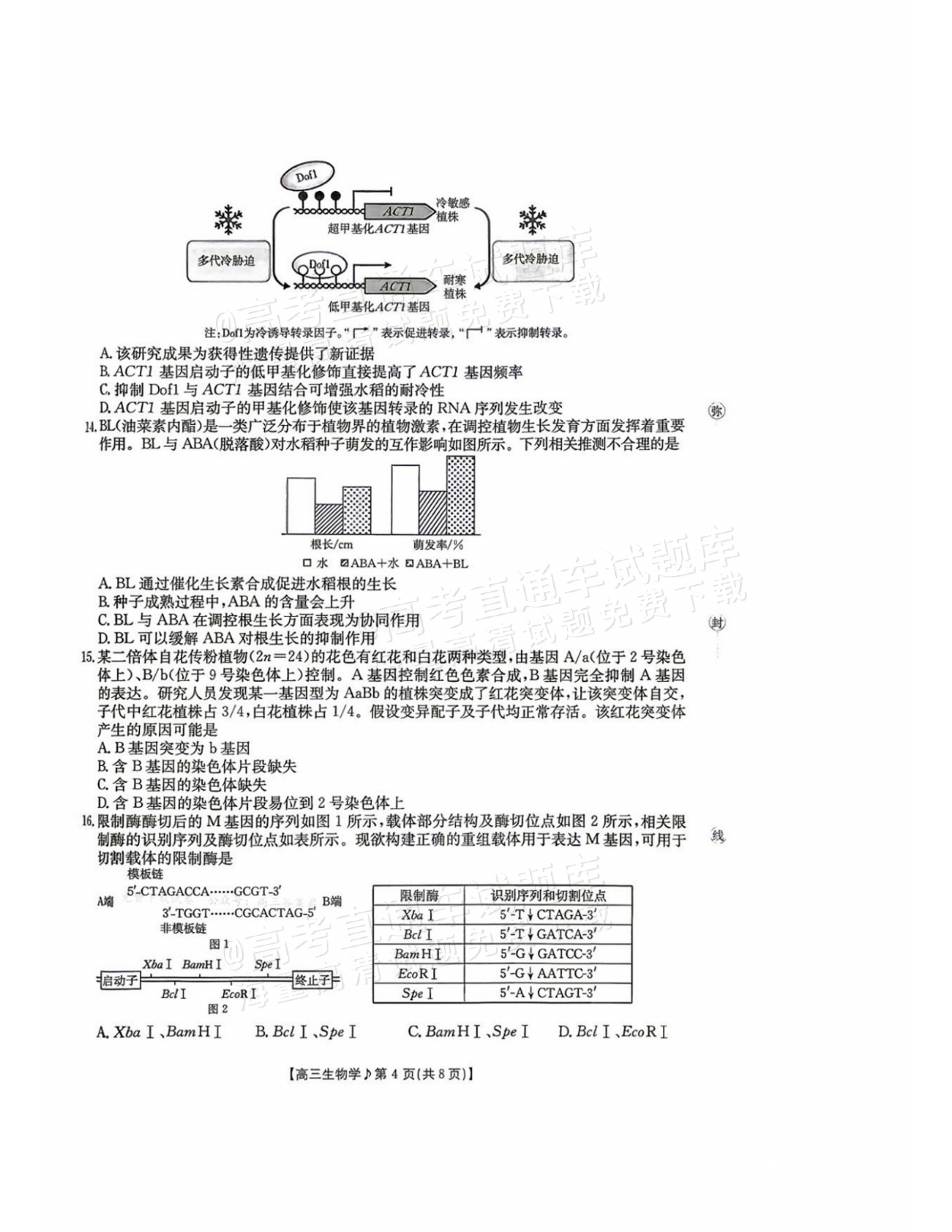2027江西高三10月素养训练生物试题及参考答案 第4页