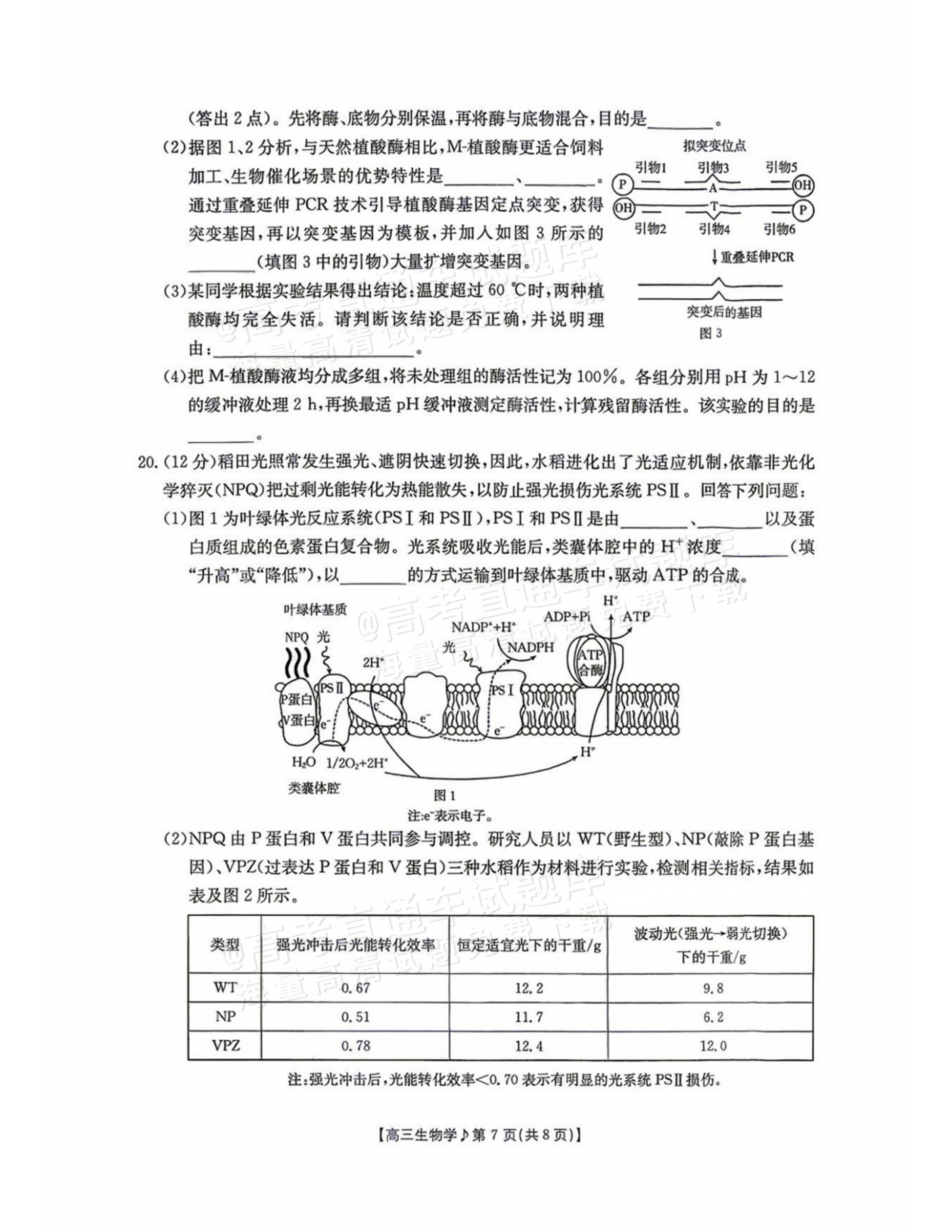 2027江西高三10月素养训练生物试题及参考答案 第7页