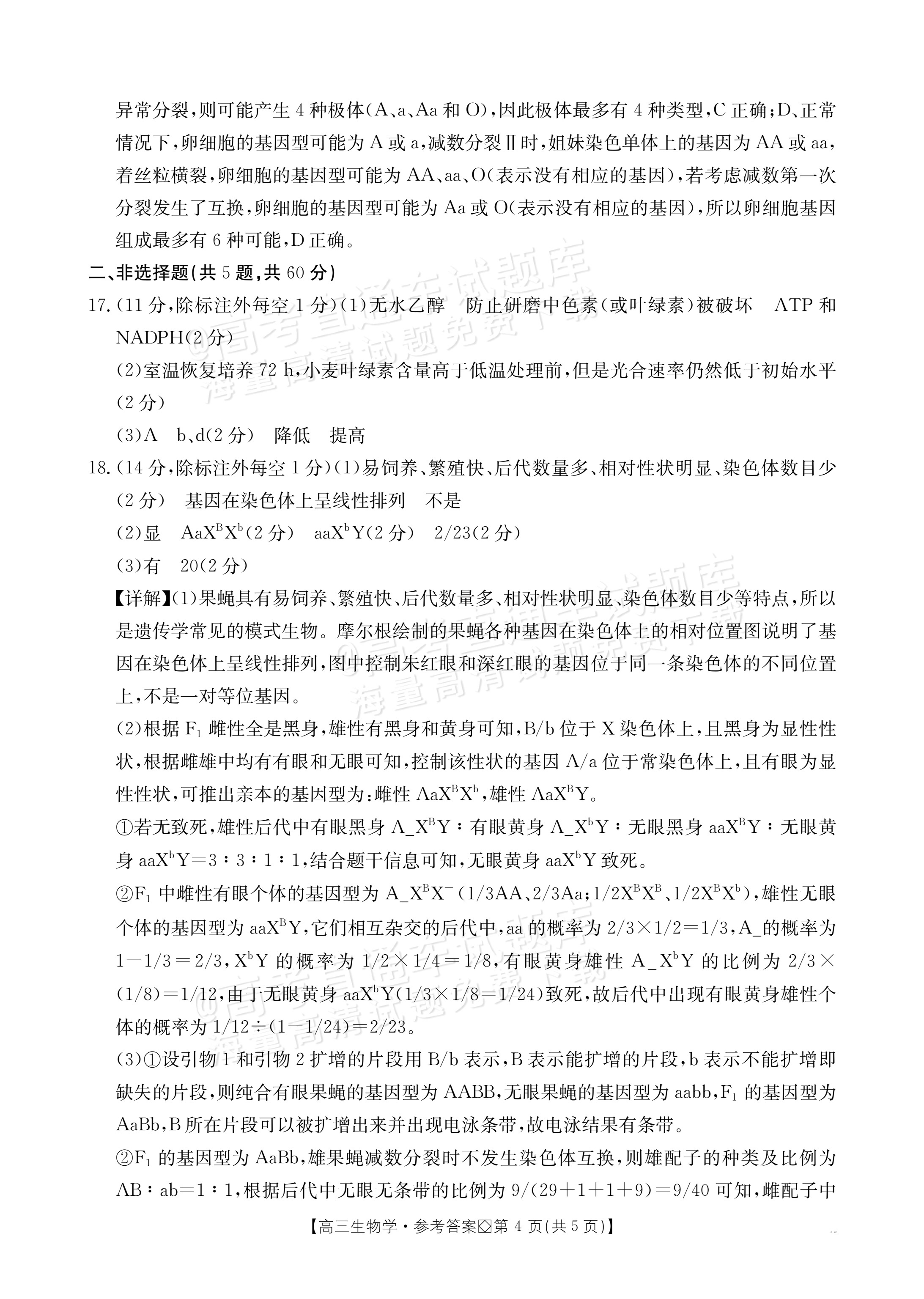 2027广西八市高三10月联考生物试题及参考答案 答案 第4页