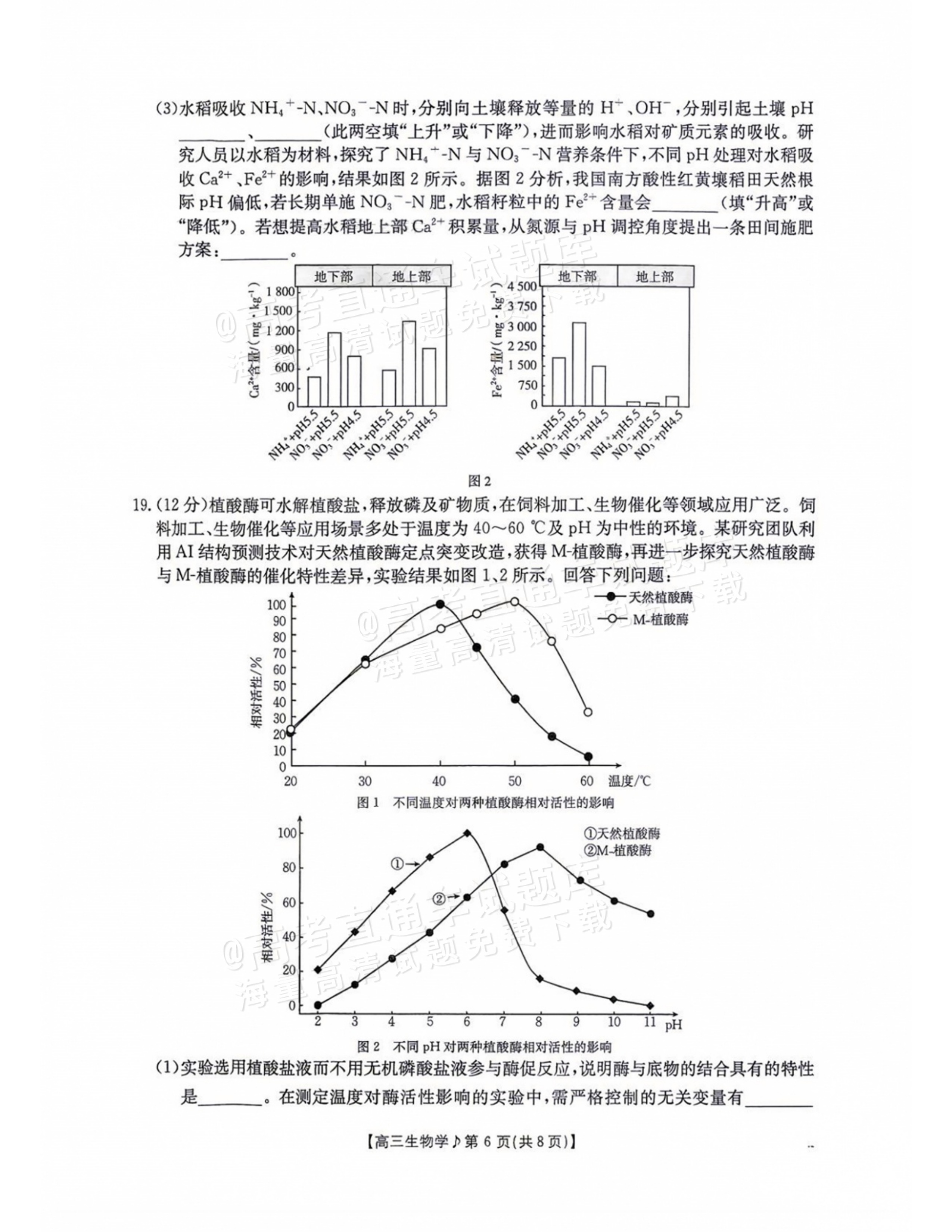 2027江西高三10月素养训练生物试题及参考答案 第6页