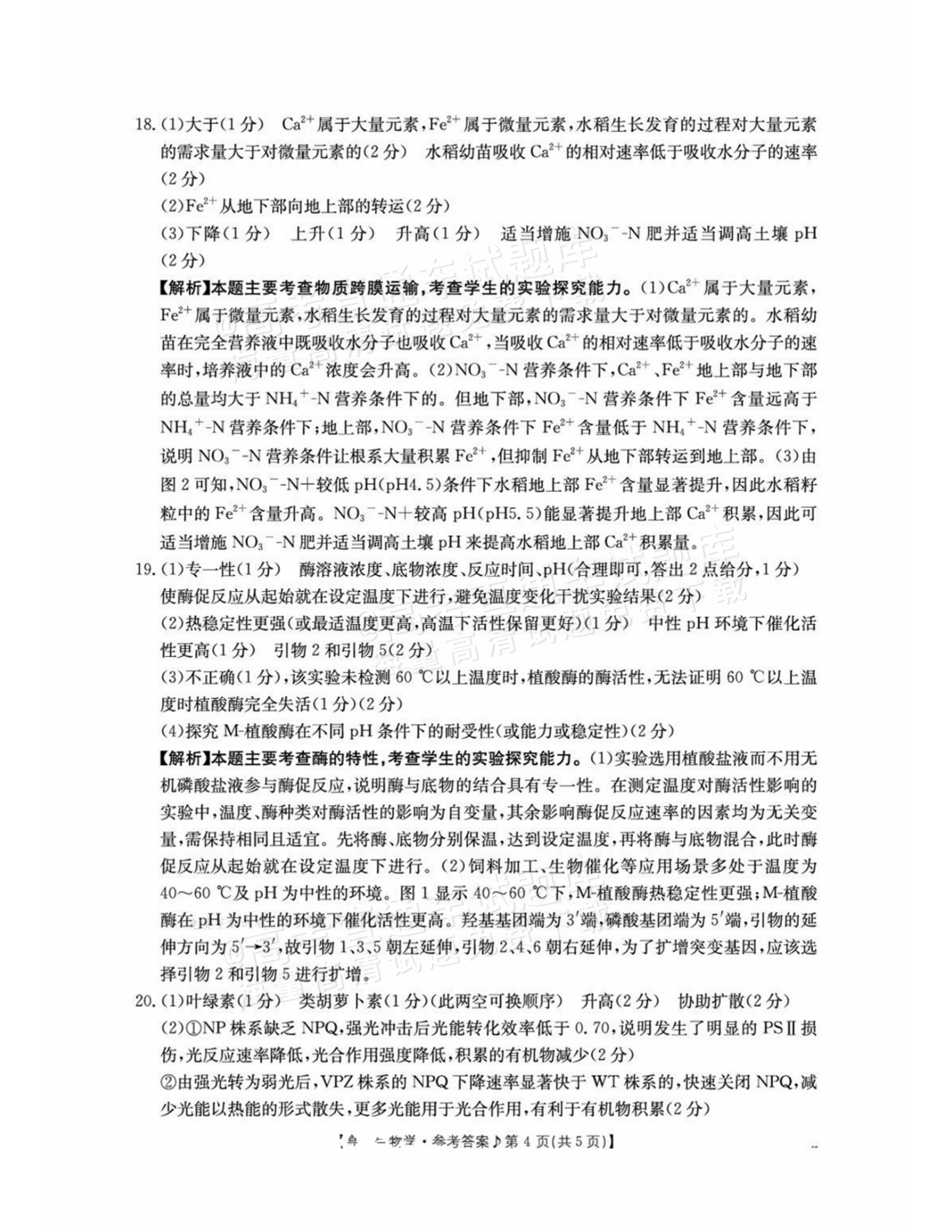 2027江西高三10月素养训练生物试题及参考答案 答案 第4页