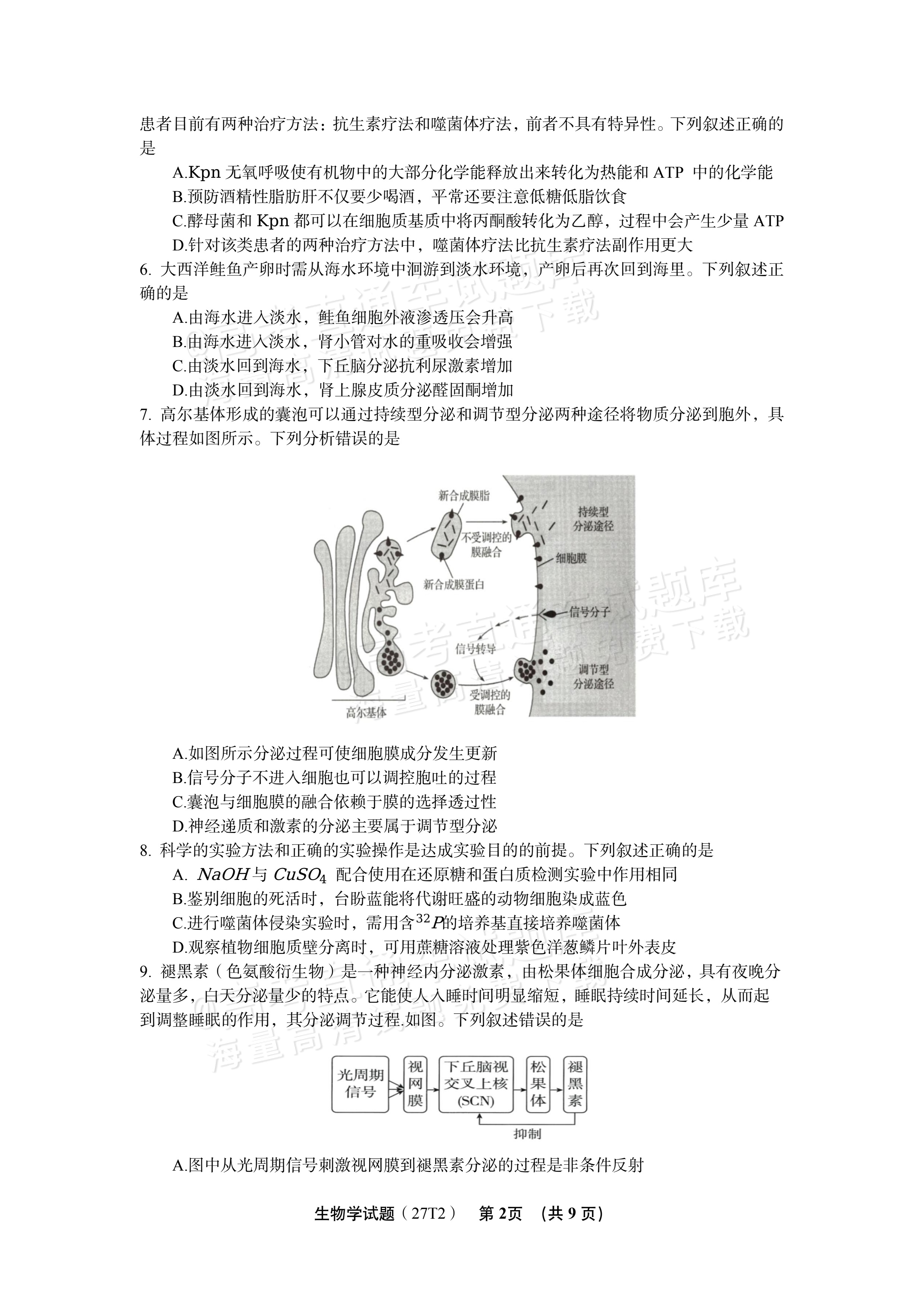2027湖南省湖南师范大学附属中学高三月考卷(二)(27T）生物试题 第2页