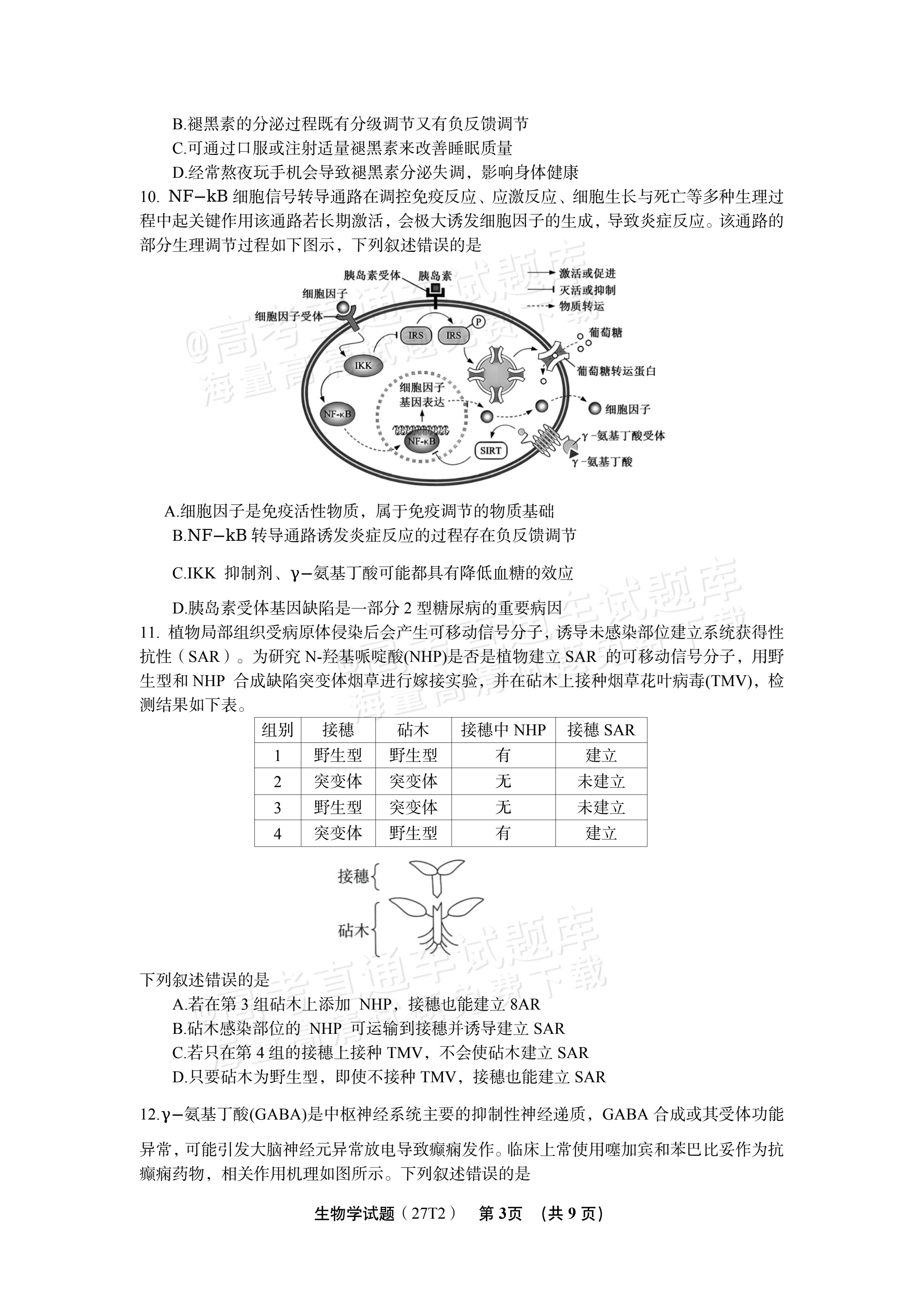 2027湖南省湖南师范大学附属中学高三月考卷(二)(27T）生物试题 第3页